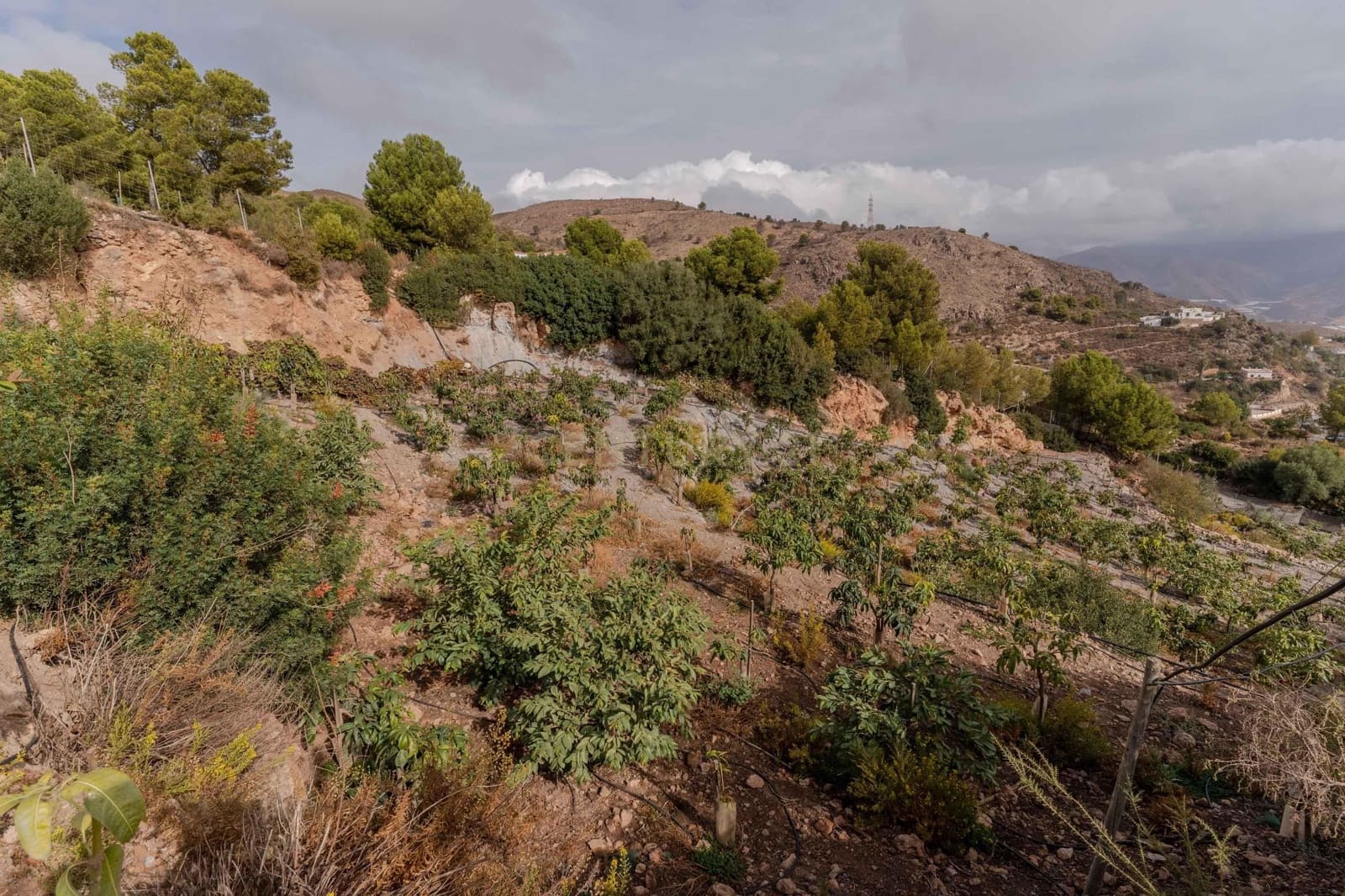 Finca/Landehus til salg i Gualchos - € 120.000 (Ref: 9525915)