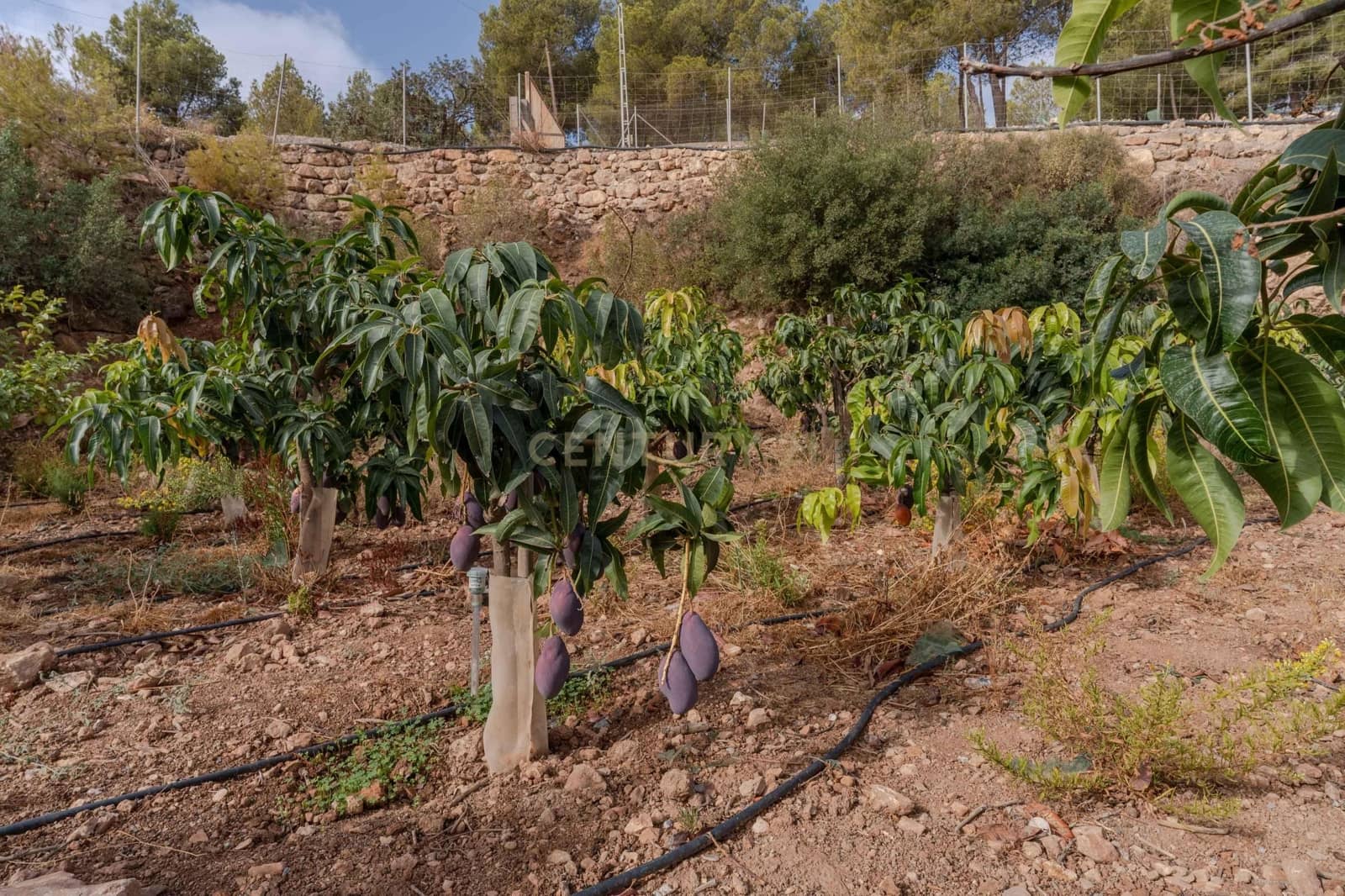 Finca/Landehus til salg i Gualchos - € 120.000 (Ref: 9525915)