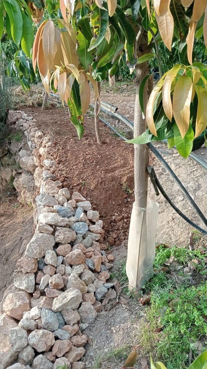 Finka/Dom wiejski na sprzedaż w Gualchos - 120 000 € (Ref: 9525915)