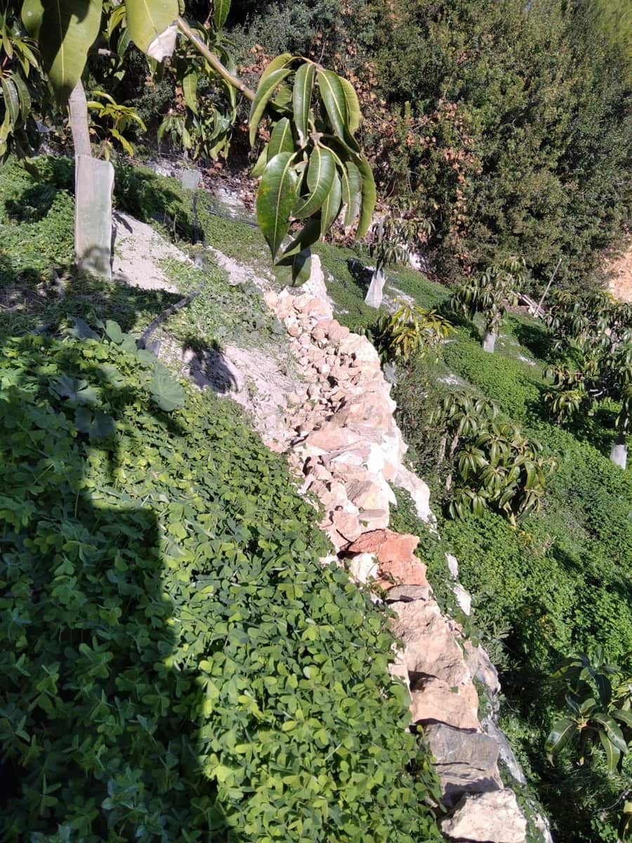 Finka/Dom wiejski na sprzedaż w Gualchos - 120 000 € (Ref: 9525915)