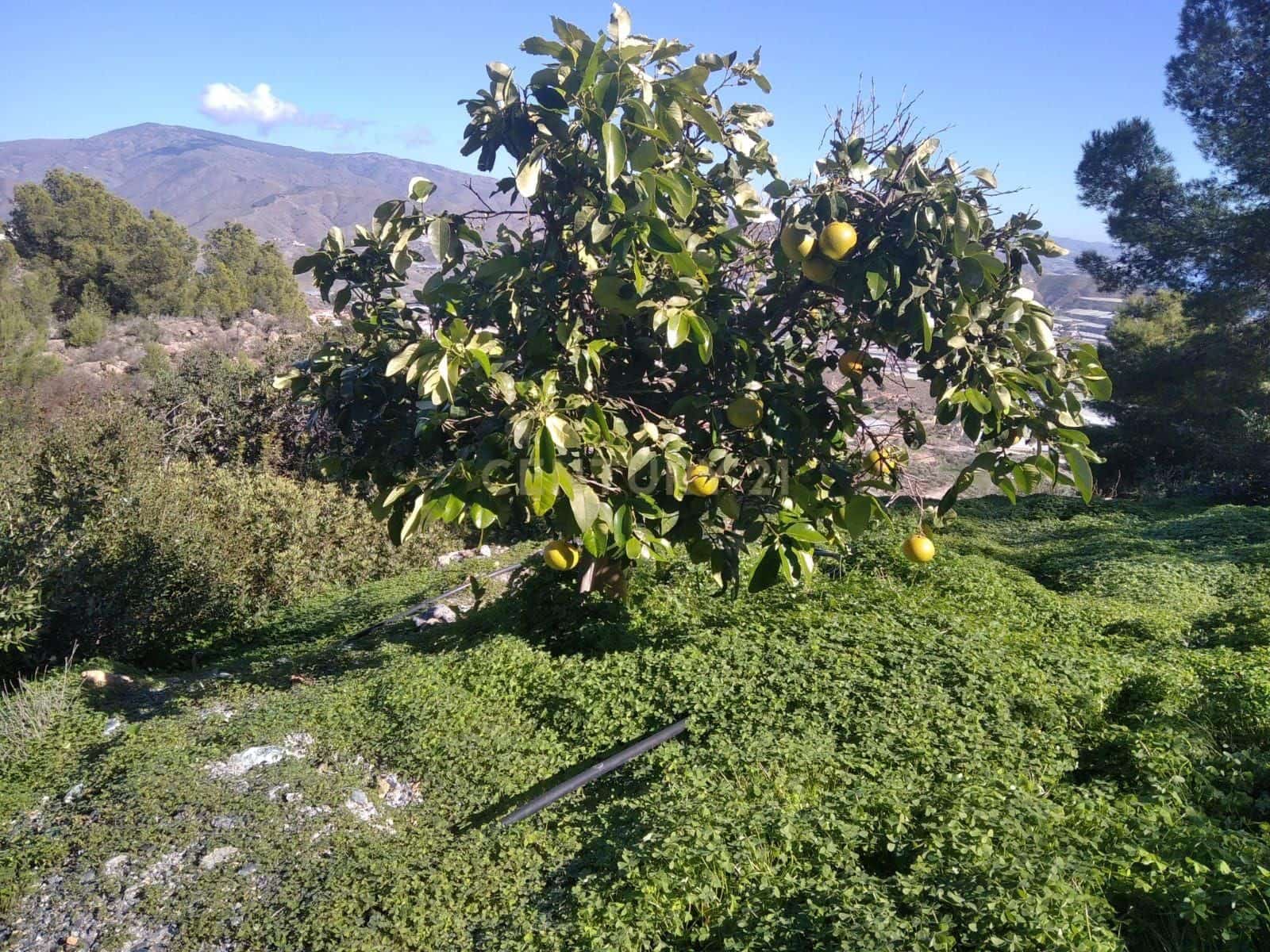 Finka/Dom wiejski na sprzedaż w Gualchos - 120 000 € (Ref: 9525915)