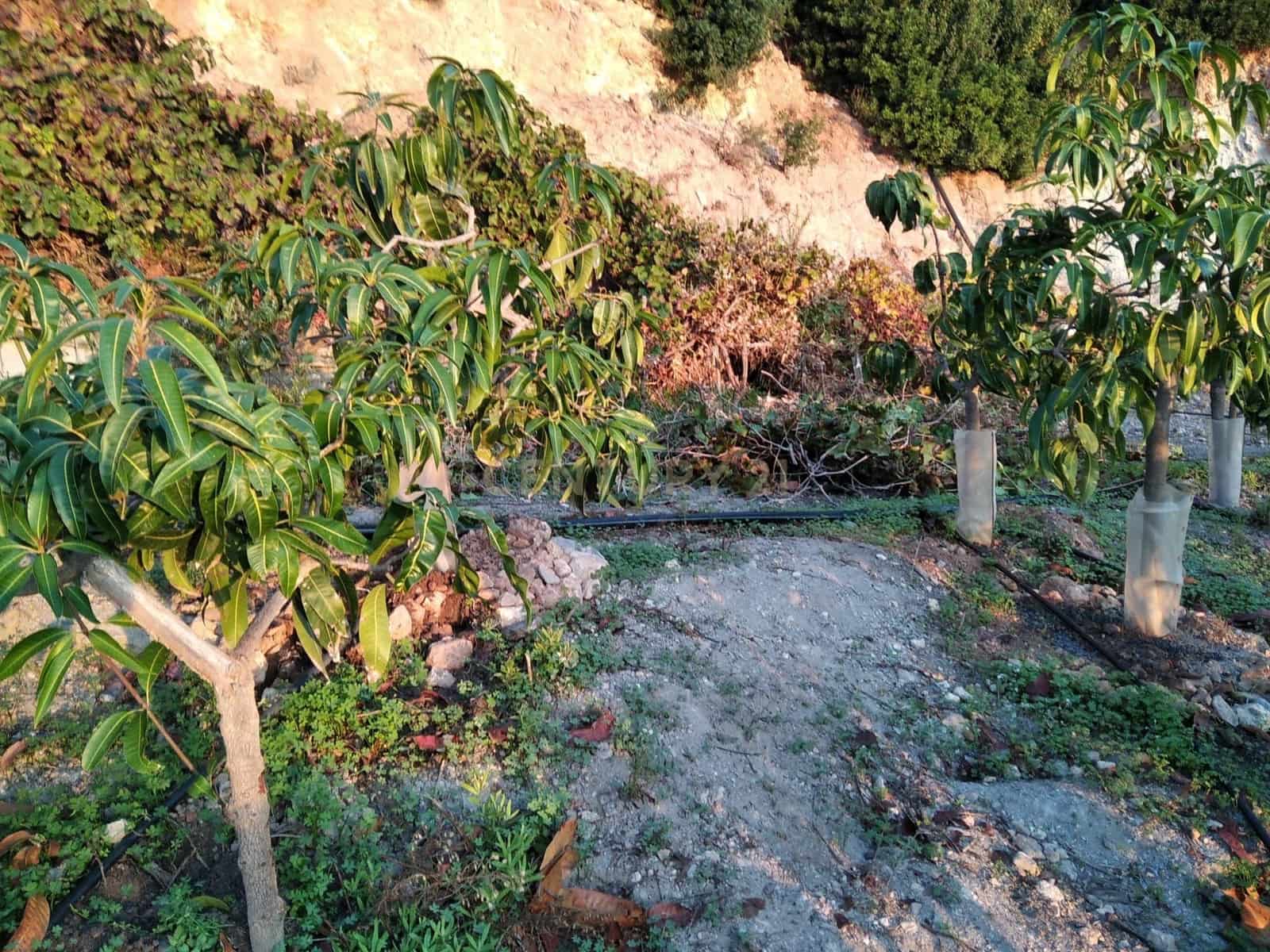 Finka/Dom wiejski na sprzedaż w Gualchos - 120 000 € (Ref: 9525915)