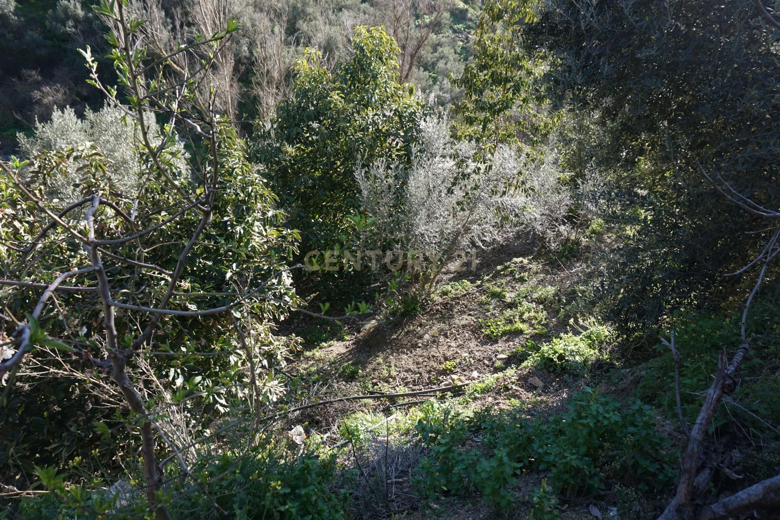 Finca/Landhuis te koop in Lanjaron - € 68.000 (Ref: 9624231)