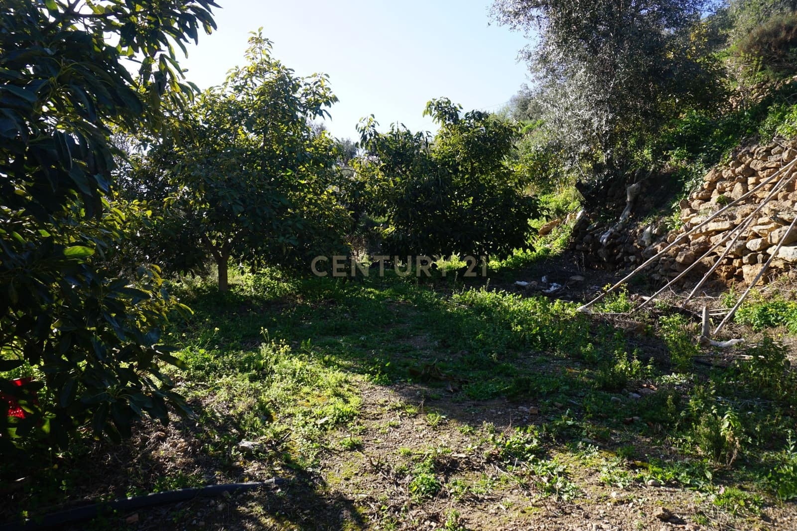 Finca/Landhuis te koop in Lanjaron - € 68.000 (Ref: 9624231)
