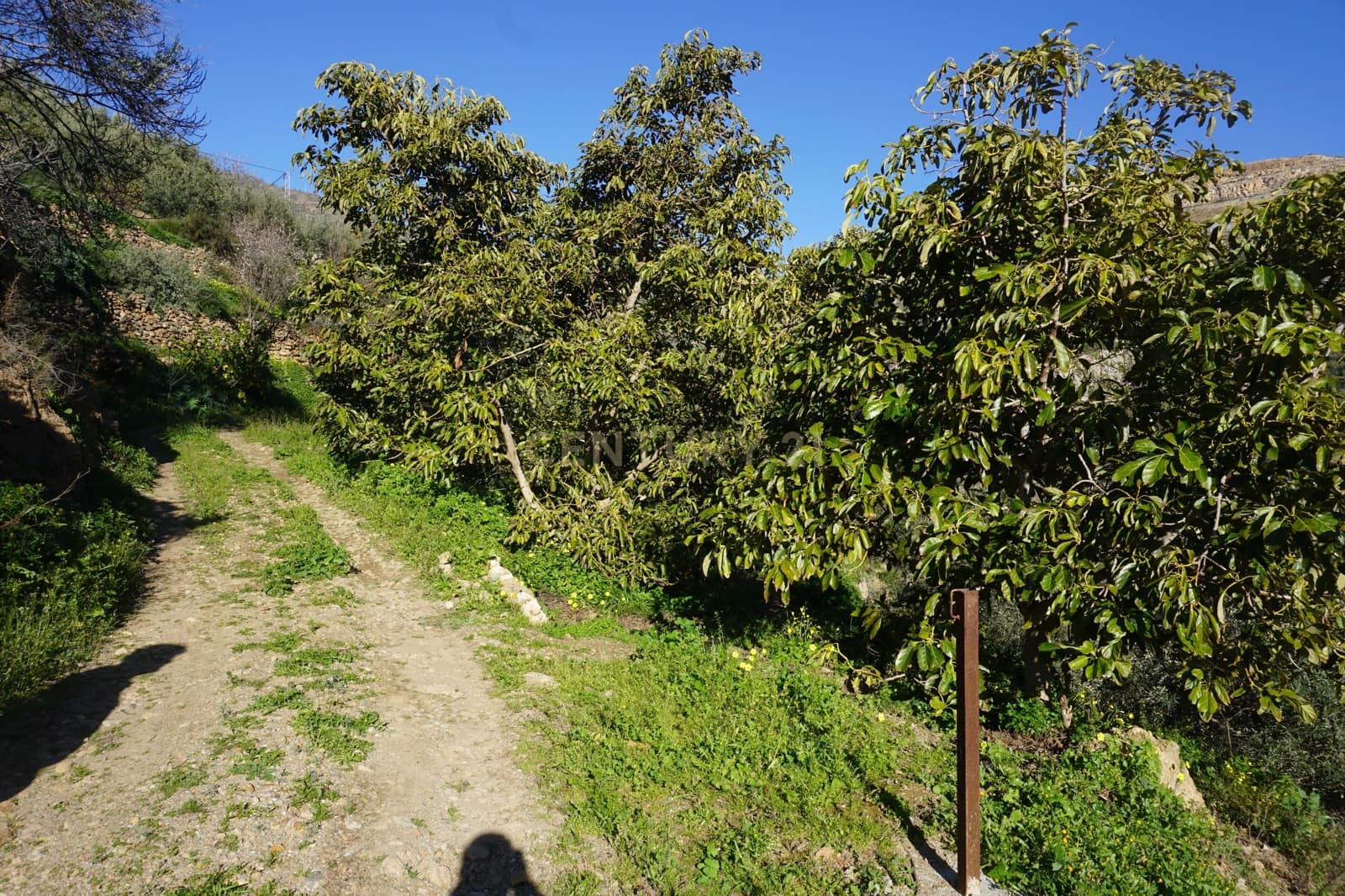 Finca/Landhuis te koop in Lanjaron - € 68.000 (Ref: 9624231)