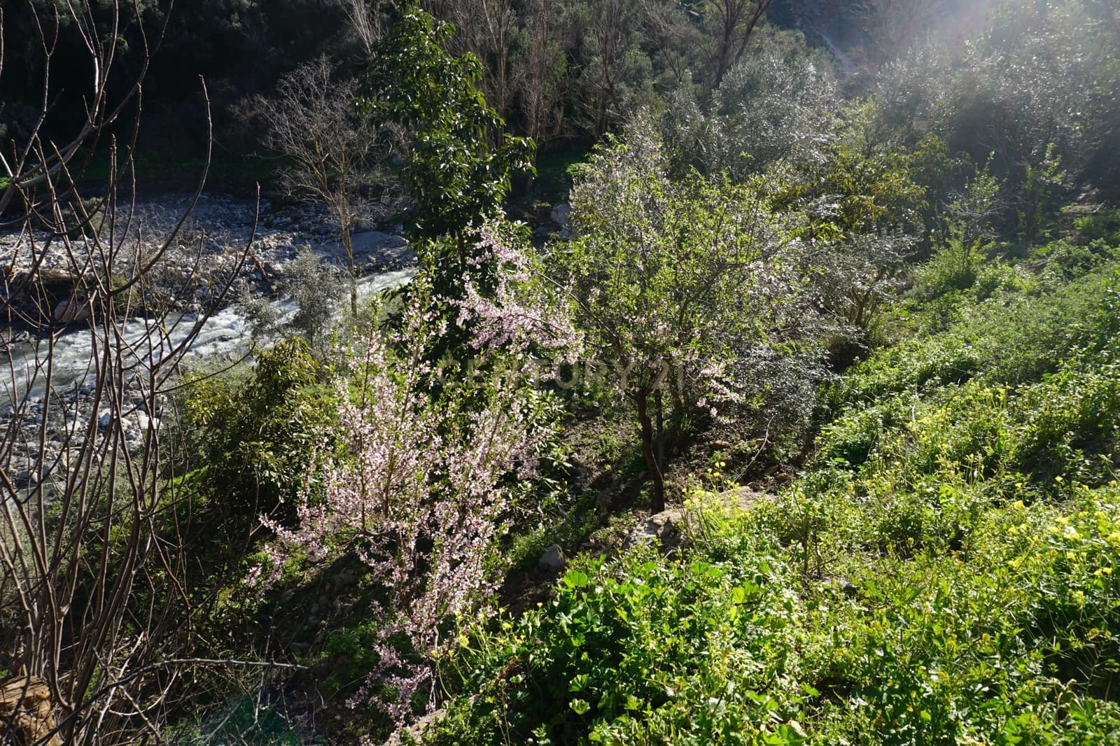 Finca/Landhuis te koop in Lanjaron - € 68.000 (Ref: 9624231)