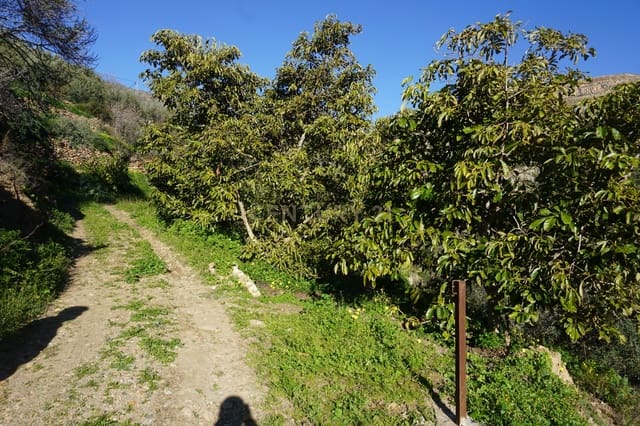 Finca/Landhuis te koop in Lanjarón - € 68.000 (Ref: 9624231)