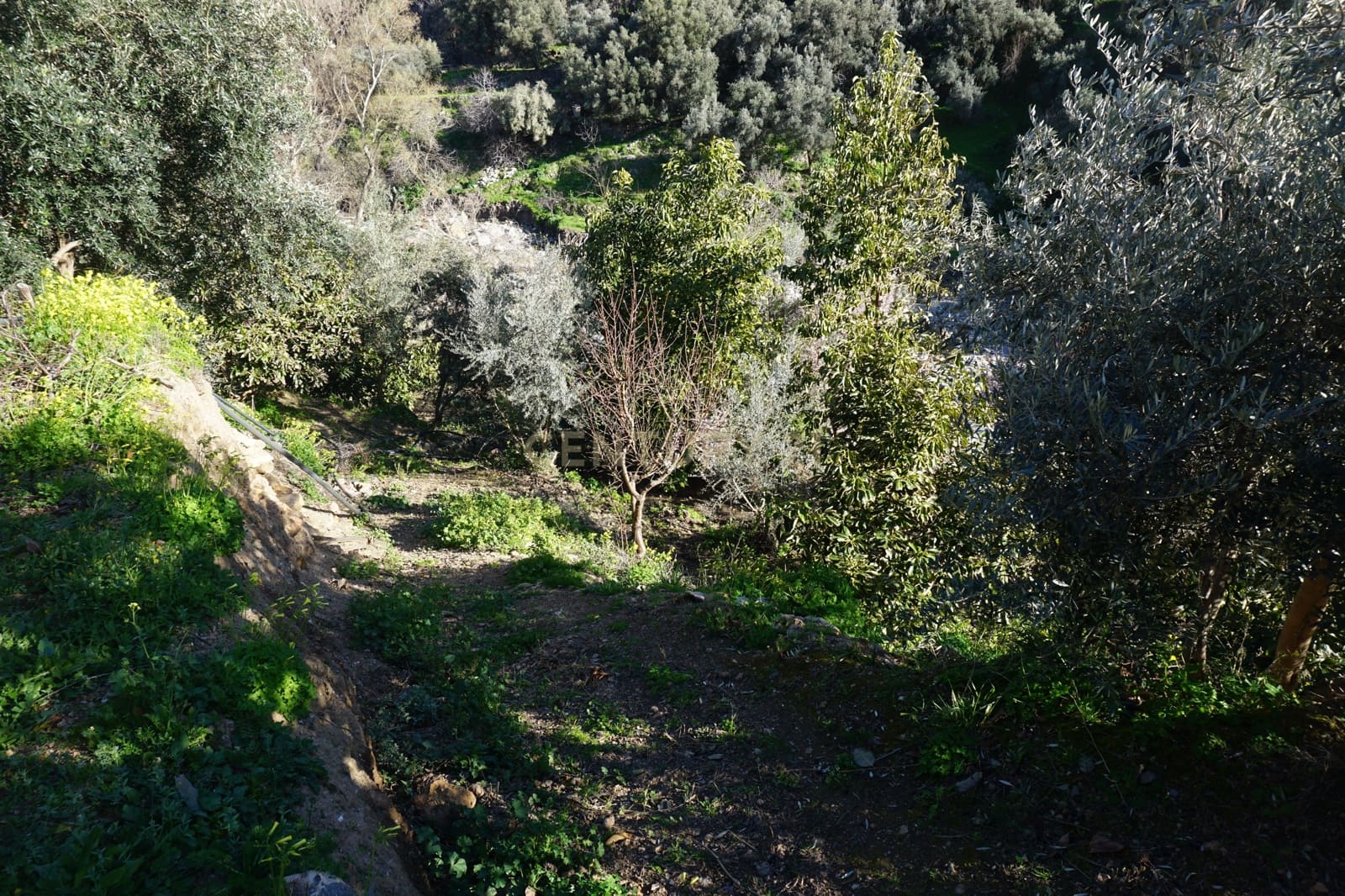 Finca/Landhuis te koop in Lanjaron - € 68.000 (Ref: 9624231)