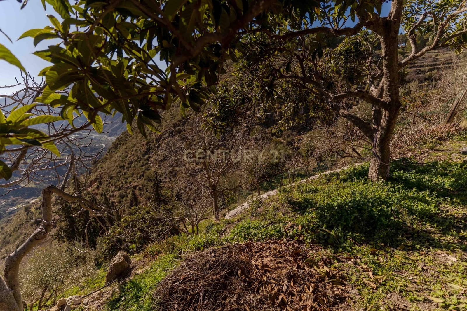 4 camera da letto Finca/Casa di Campagna in vendita in Almegijar con garage - 80.000 € (Rif: 9650386)