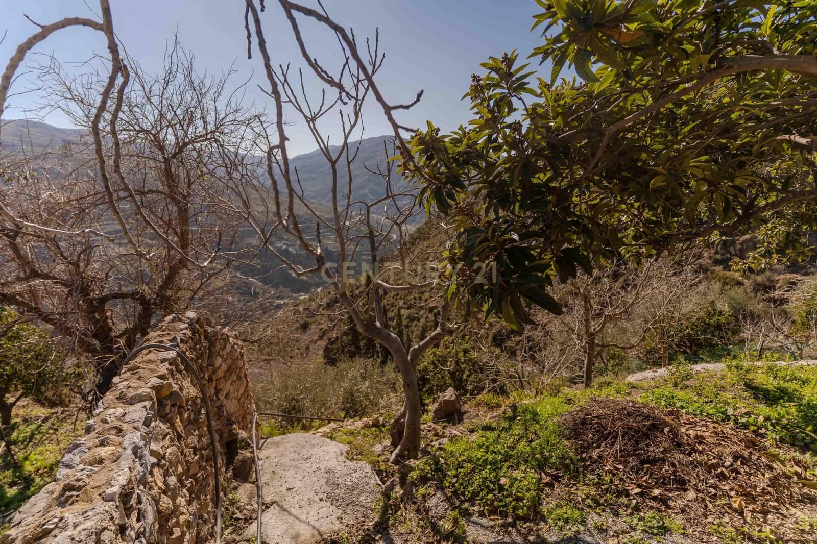 4 camera da letto Finca/Casa di Campagna in vendita in Almegijar con garage - 80.000 € (Rif: 9650386)