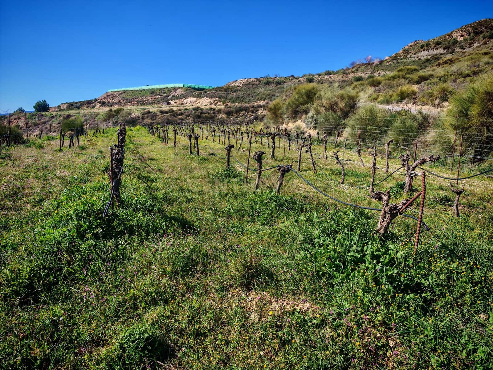 Maalaistalo myytävänä paikassa Nevada - 450 000 € (Ref: 9653318)