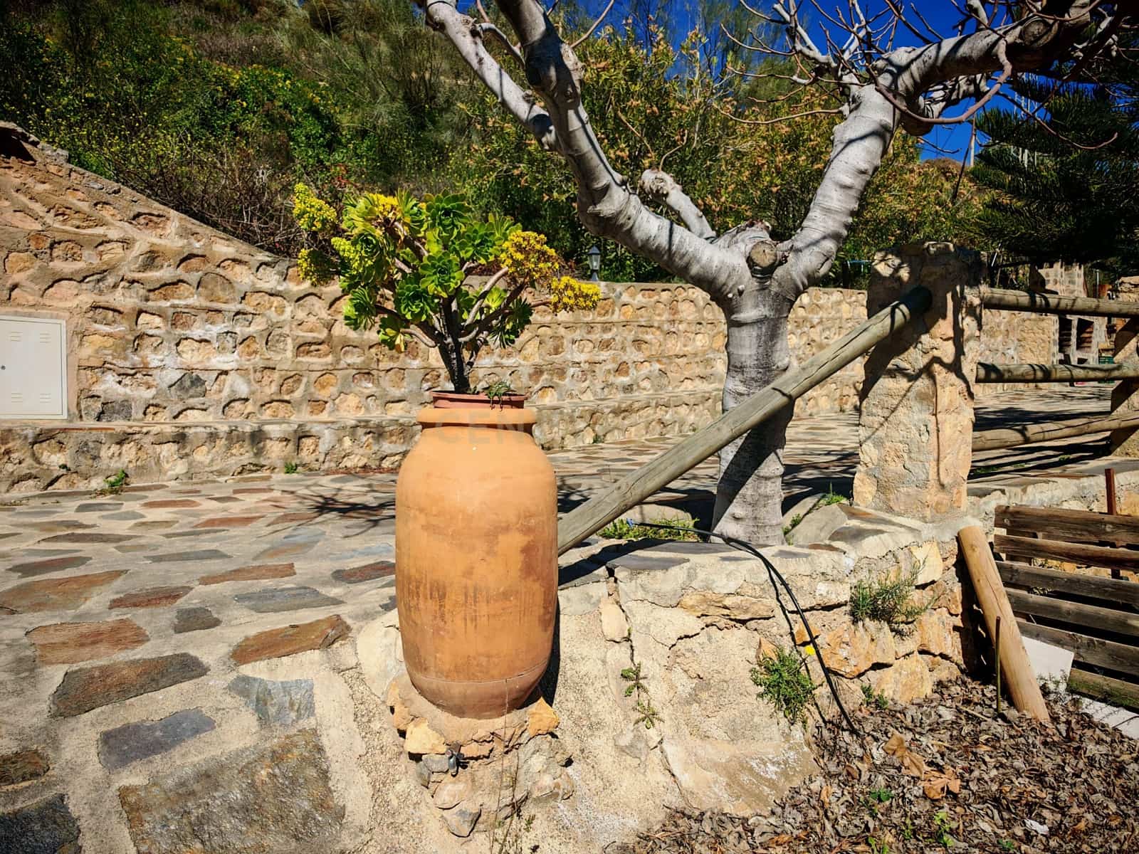 Maalaistalo myytävänä paikassa Nevada - 450 000 € (Ref: 9653318)