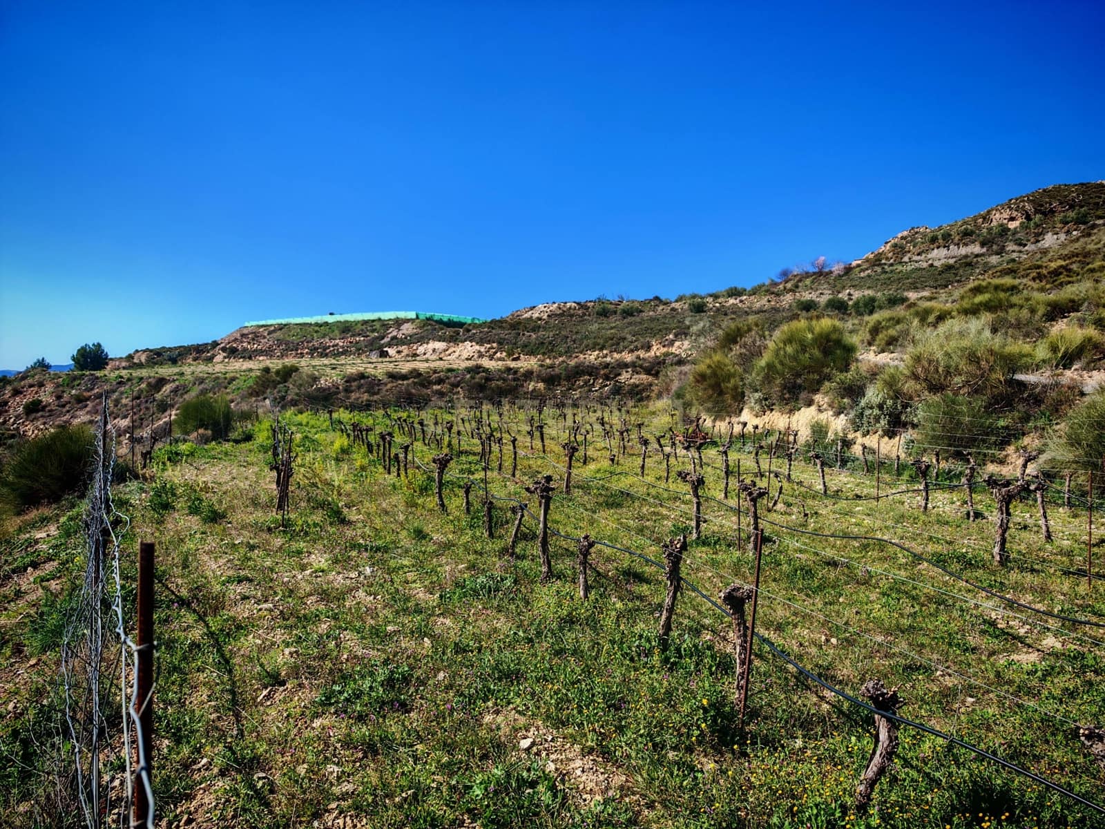 Maalaistalo myytävänä paikassa Nevada - 450 000 € (Ref: 9653318)