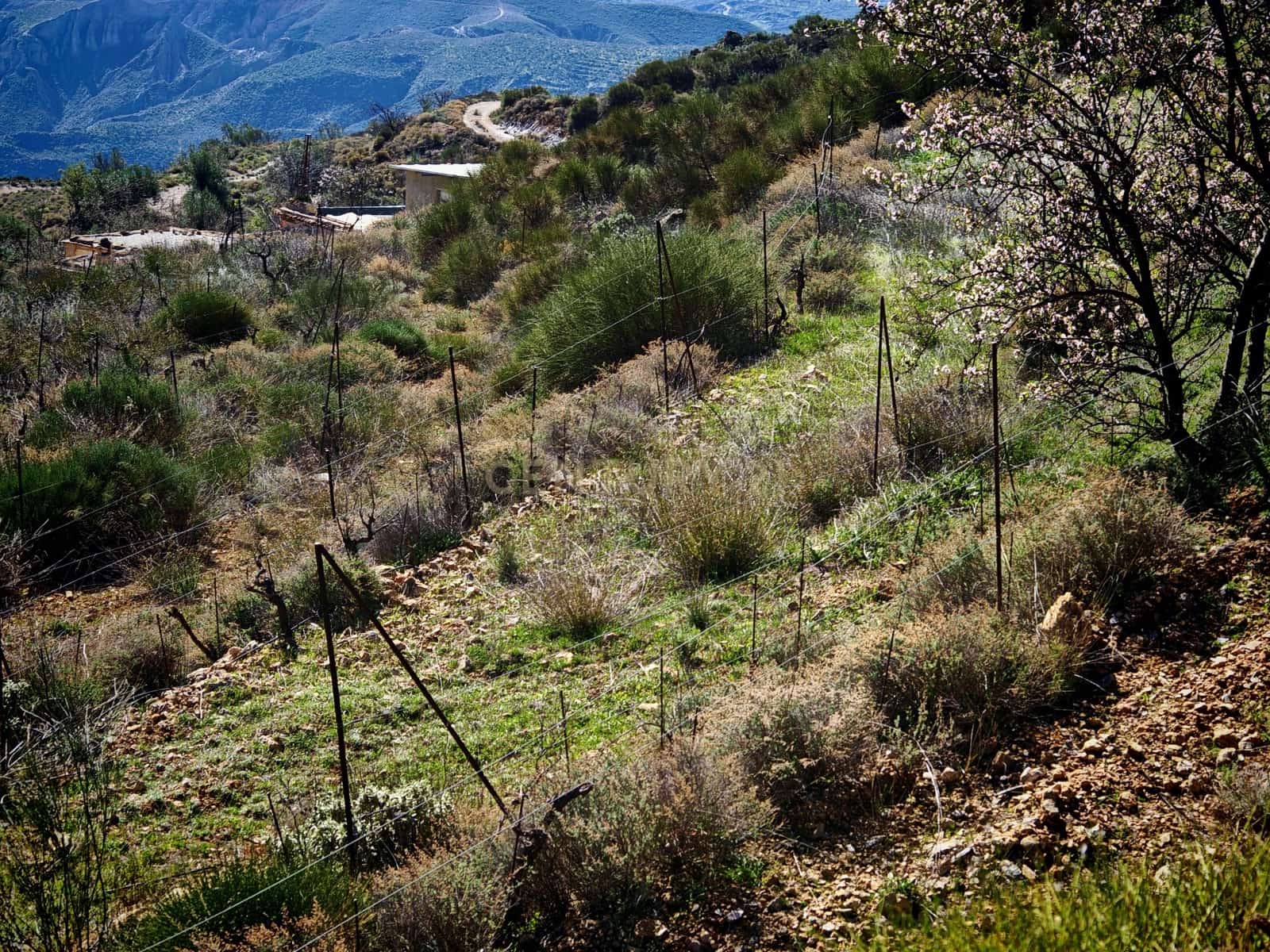 Maalaistalo myytävänä paikassa Nevada - 450 000 € (Ref: 9653318)