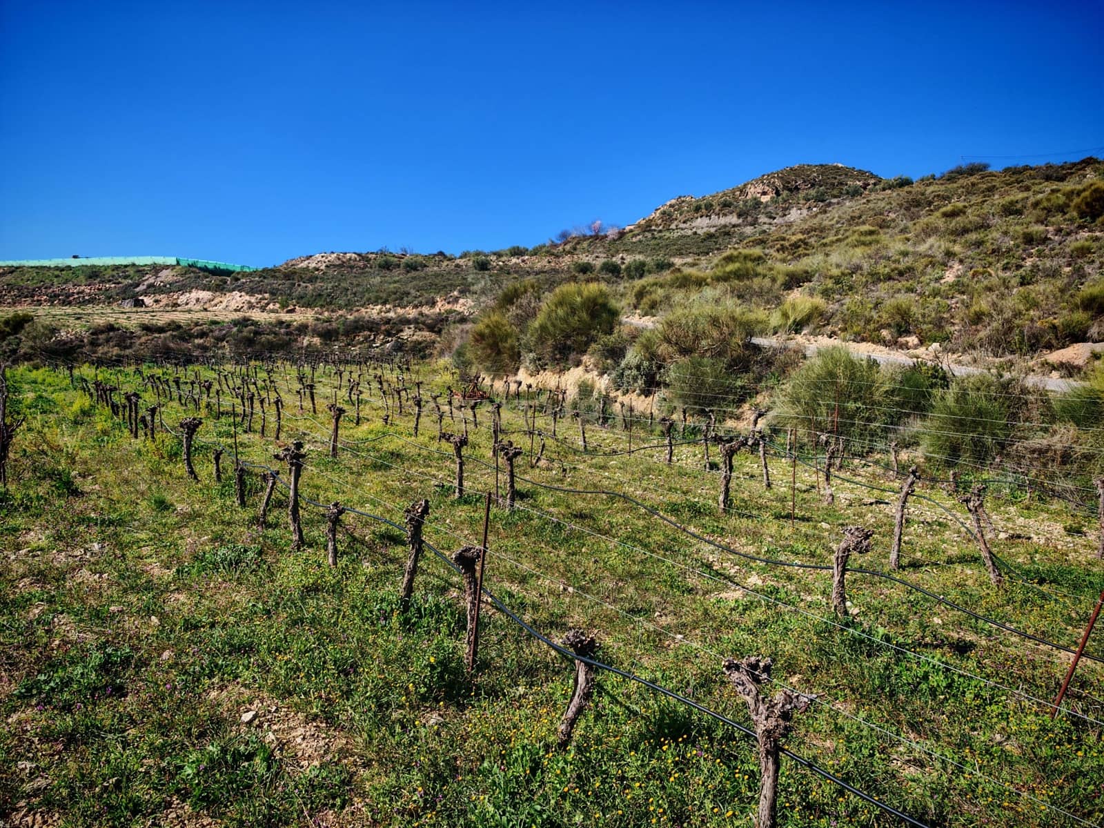 Maalaistalo myytävänä paikassa Nevada - 450 000 € (Ref: 9653318)