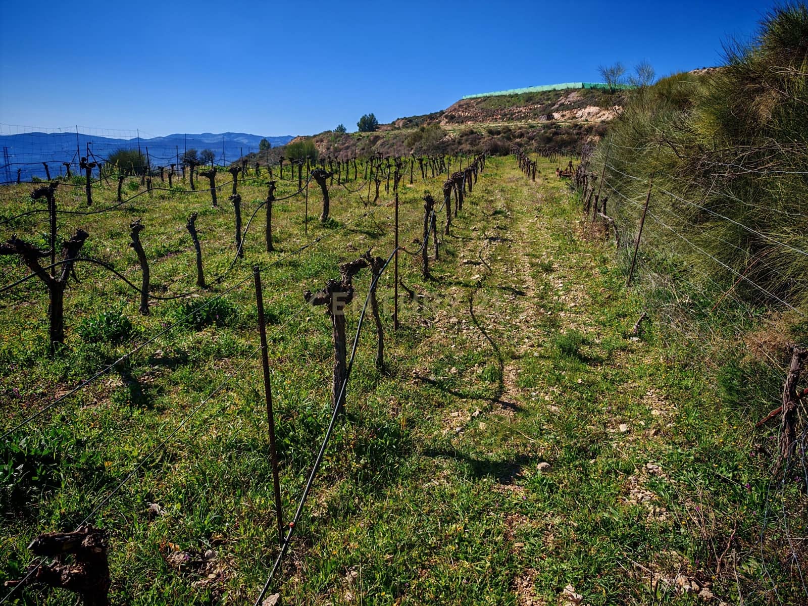 Maalaistalo myytävänä paikassa Nevada - 450 000 € (Ref: 9653318)