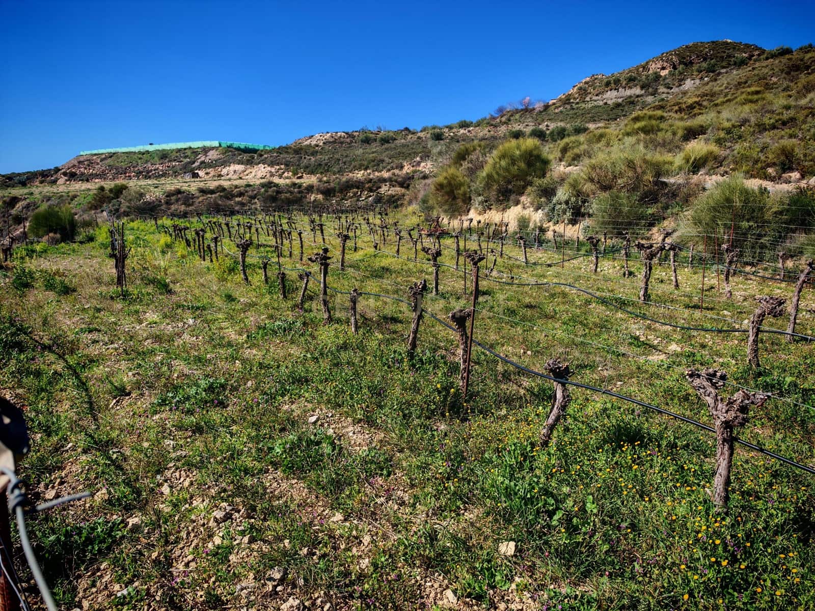 Maalaistalo myytävänä paikassa Nevada - 450 000 € (Ref: 9653318)