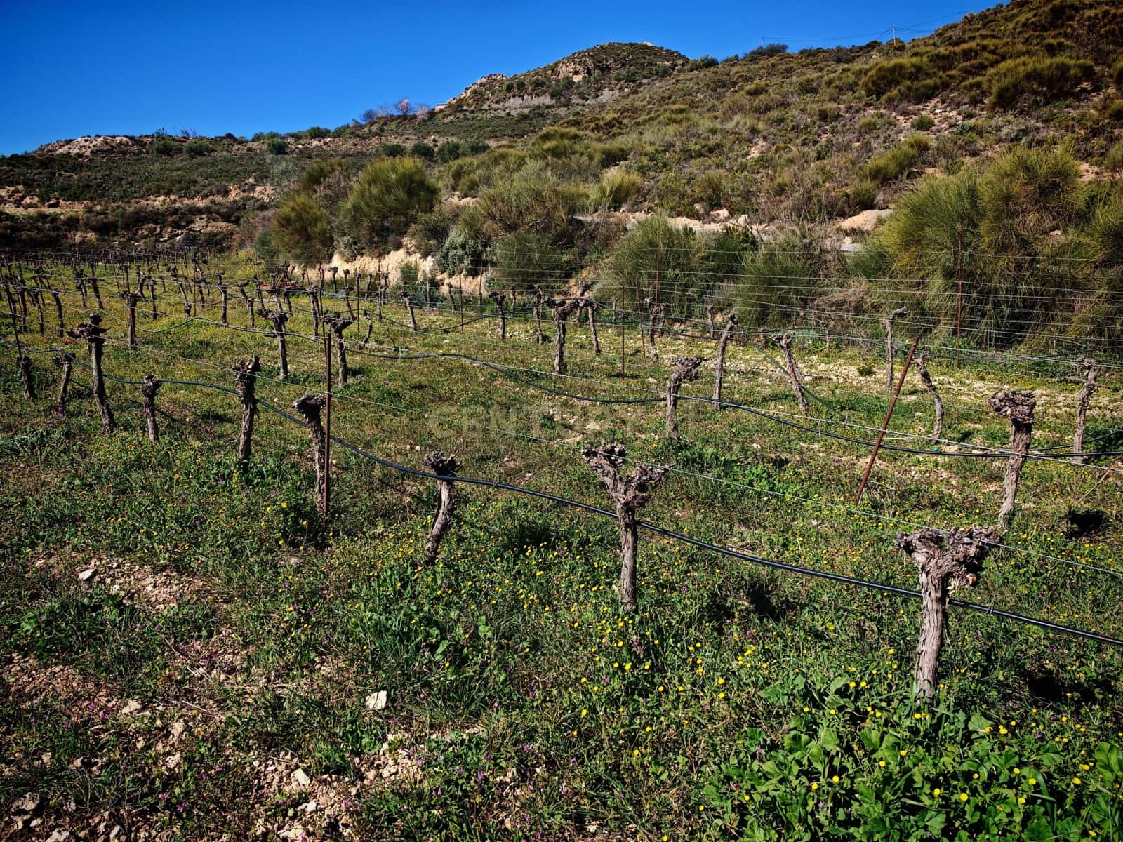 Maalaistalo myytävänä paikassa Nevada - 450 000 € (Ref: 9653318)