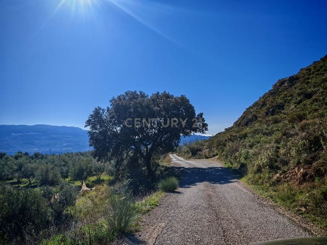 Maalaistalo myytävänä paikassa Nevada - 450 000 € (Ref: 9653318)