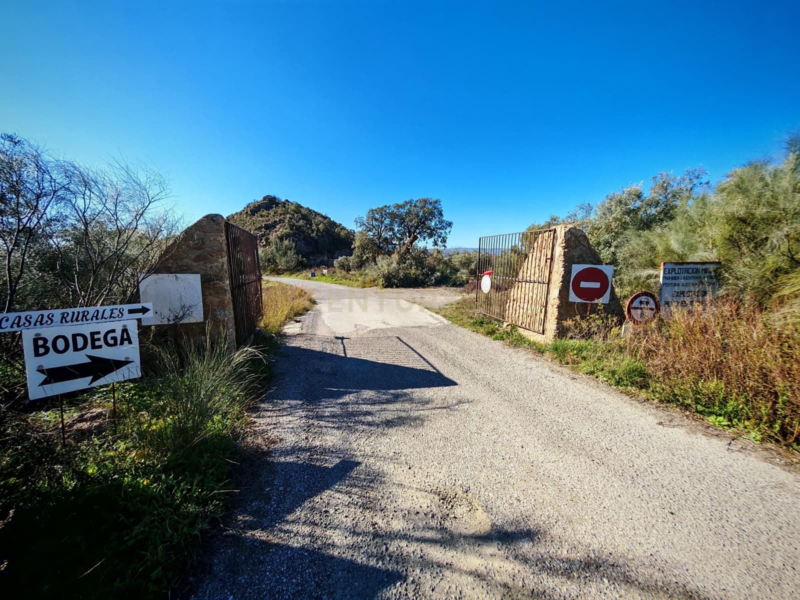 Maalaistalo myytävänä paikassa Nevada - 450 000 € (Ref: 9653318)
