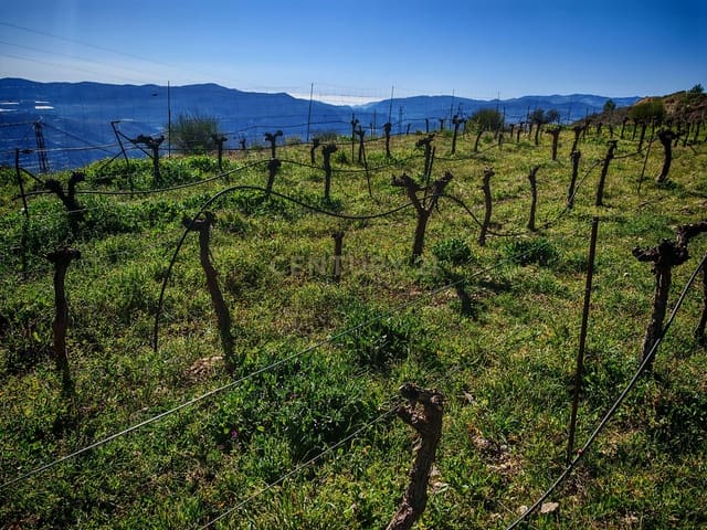 Maalaistalo myytävänä paikassa Nevada - 450 000 € (Ref: 9653318)