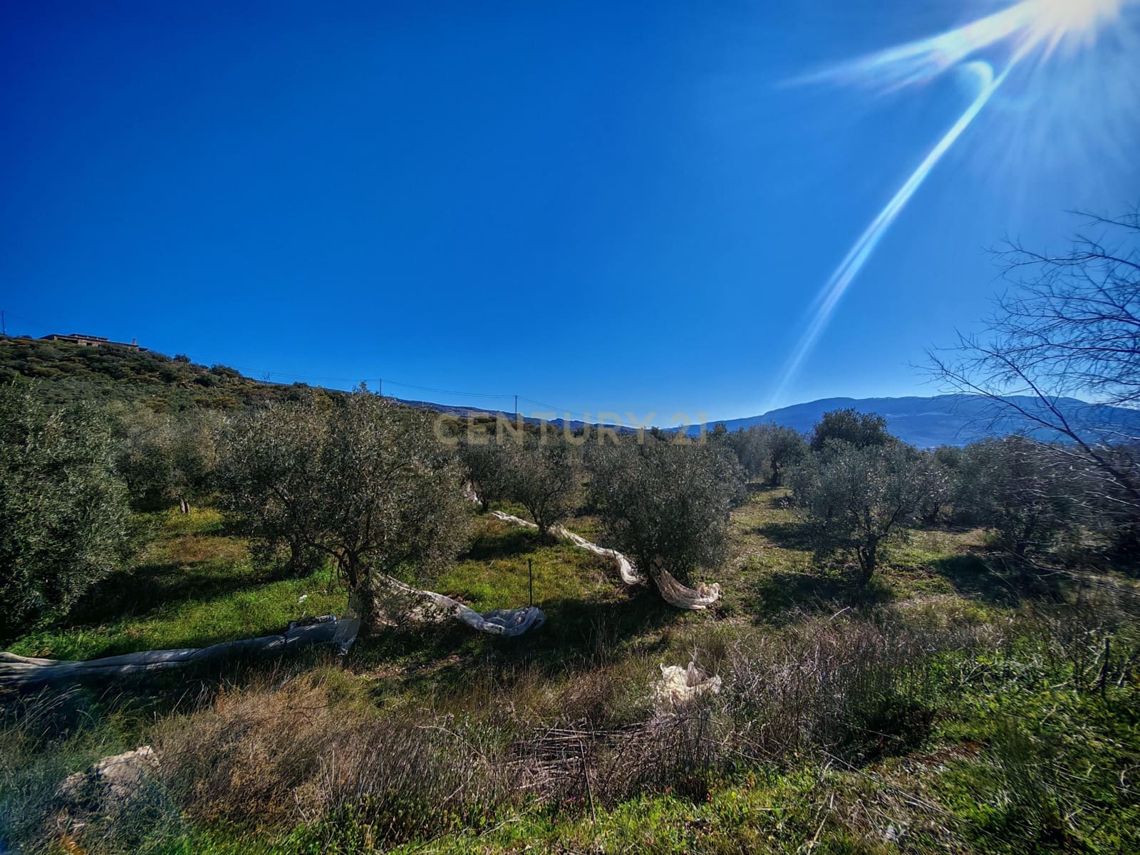 Maalaistalo myytävänä paikassa Nevada - 450 000 € (Ref: 9653318)