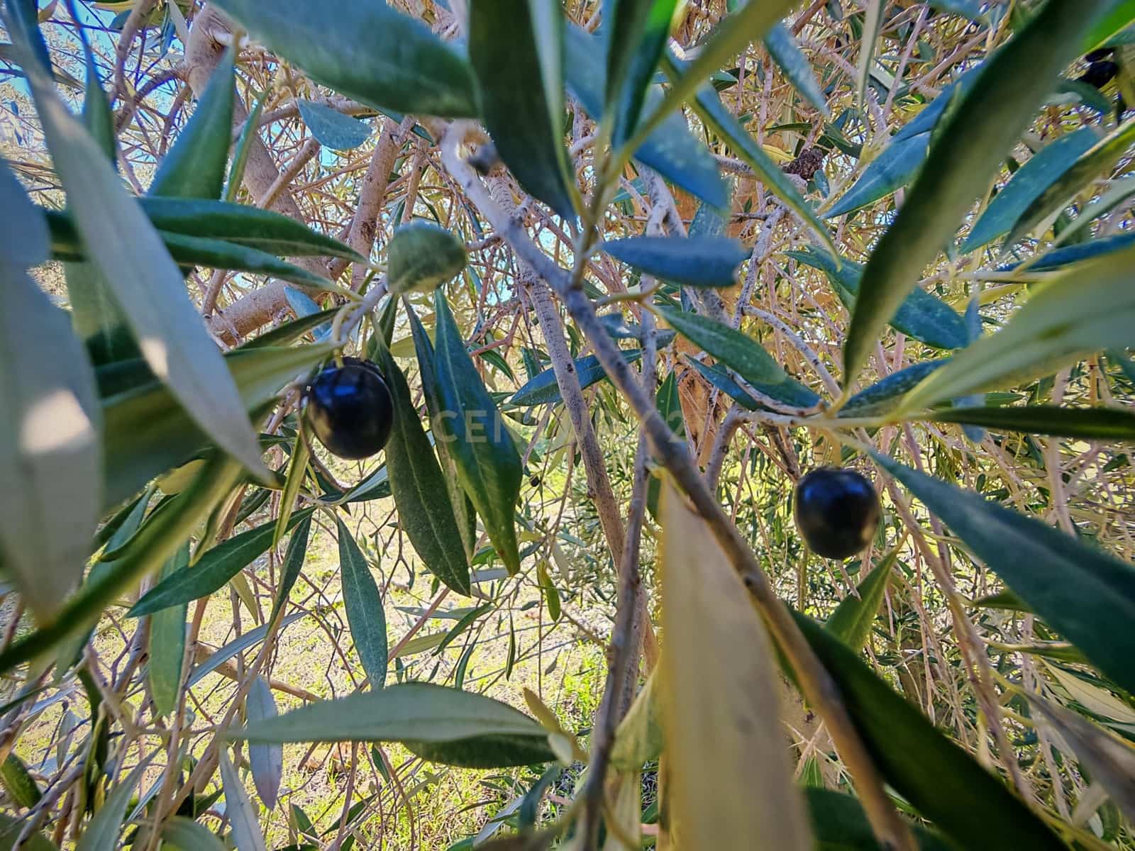 Maalaistalo myytävänä paikassa Nevada - 450 000 € (Ref: 9653318)