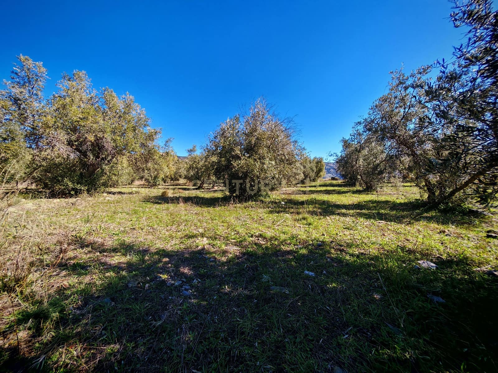 Maalaistalo myytävänä paikassa Nevada - 450 000 € (Ref: 9653318)