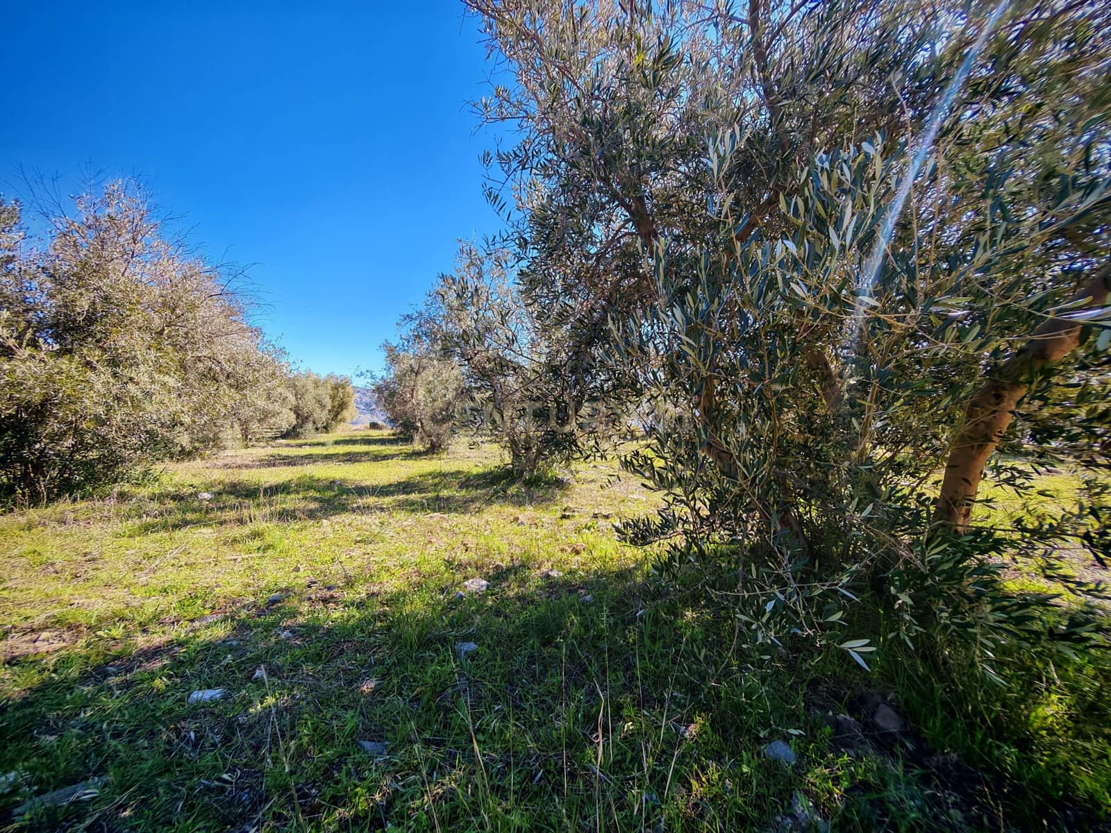 Maalaistalo myytävänä paikassa Nevada - 450 000 € (Ref: 9653318)