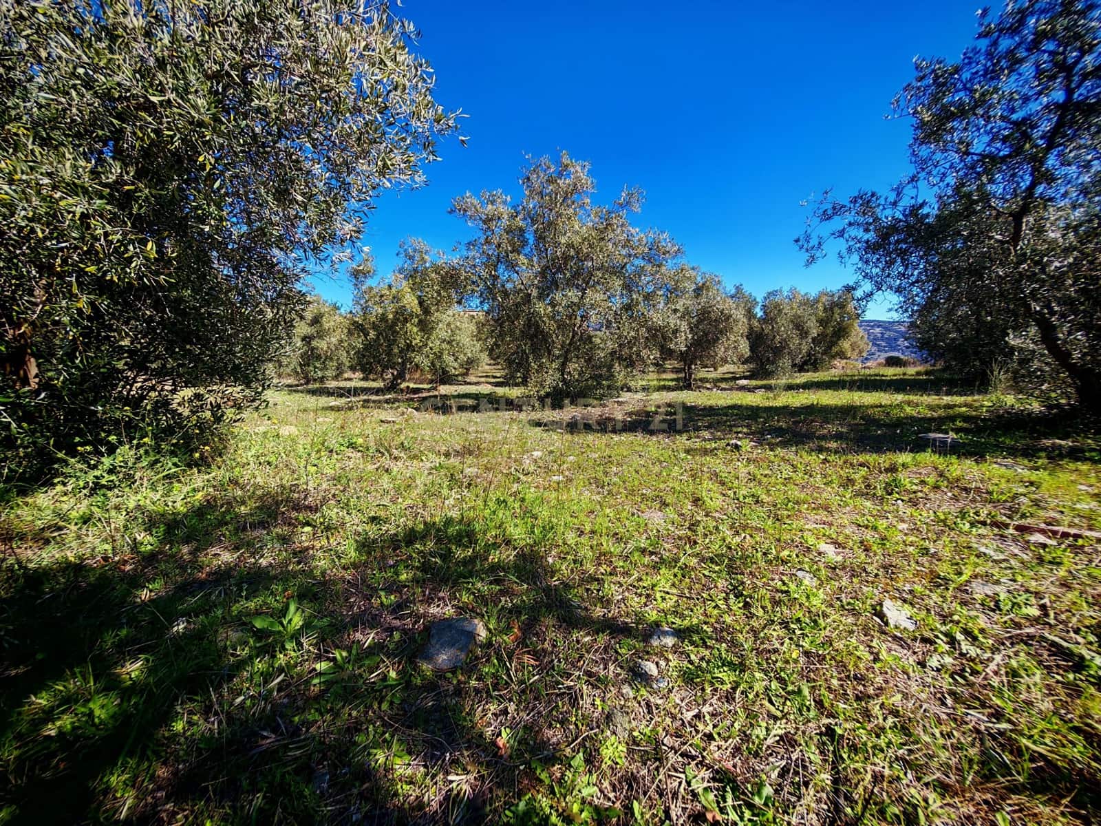 Maalaistalo myytävänä paikassa Nevada - 450 000 € (Ref: 9653318)