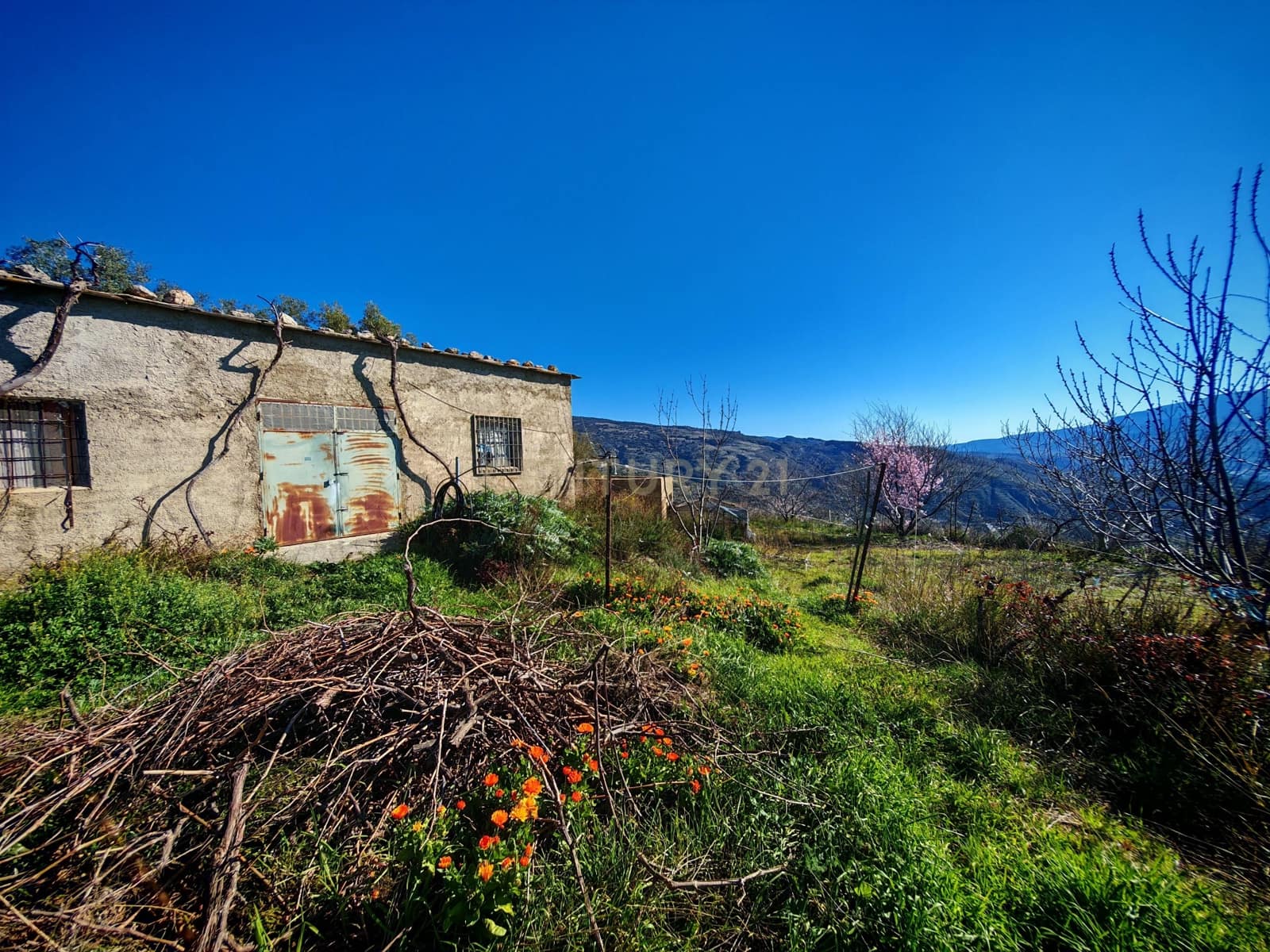 Maalaistalo myytävänä paikassa Nevada - 450 000 € (Ref: 9653318)