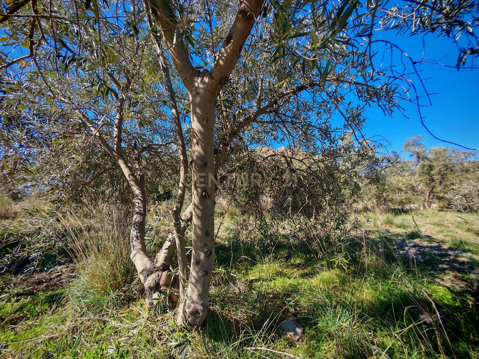 Maalaistalo myytävänä paikassa Nevada - 450 000 € (Ref: 9653318)