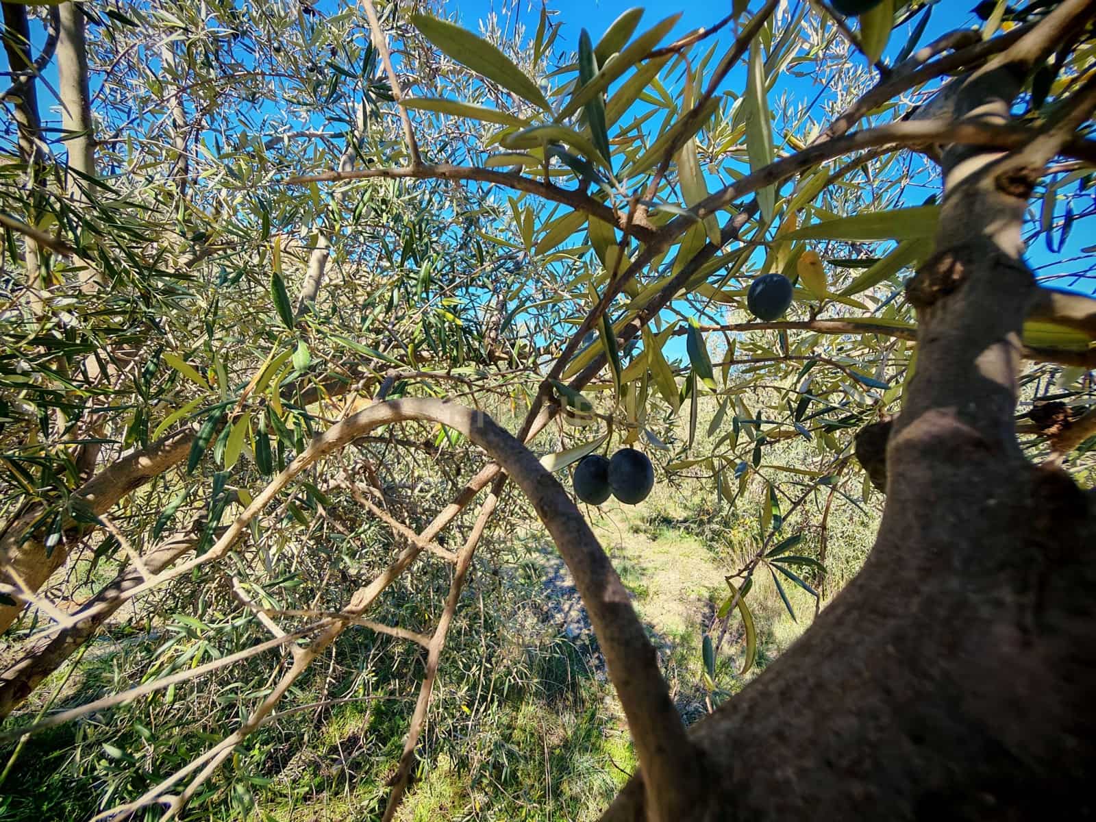 Maalaistalo myytävänä paikassa Nevada - 450 000 € (Ref: 9653318)