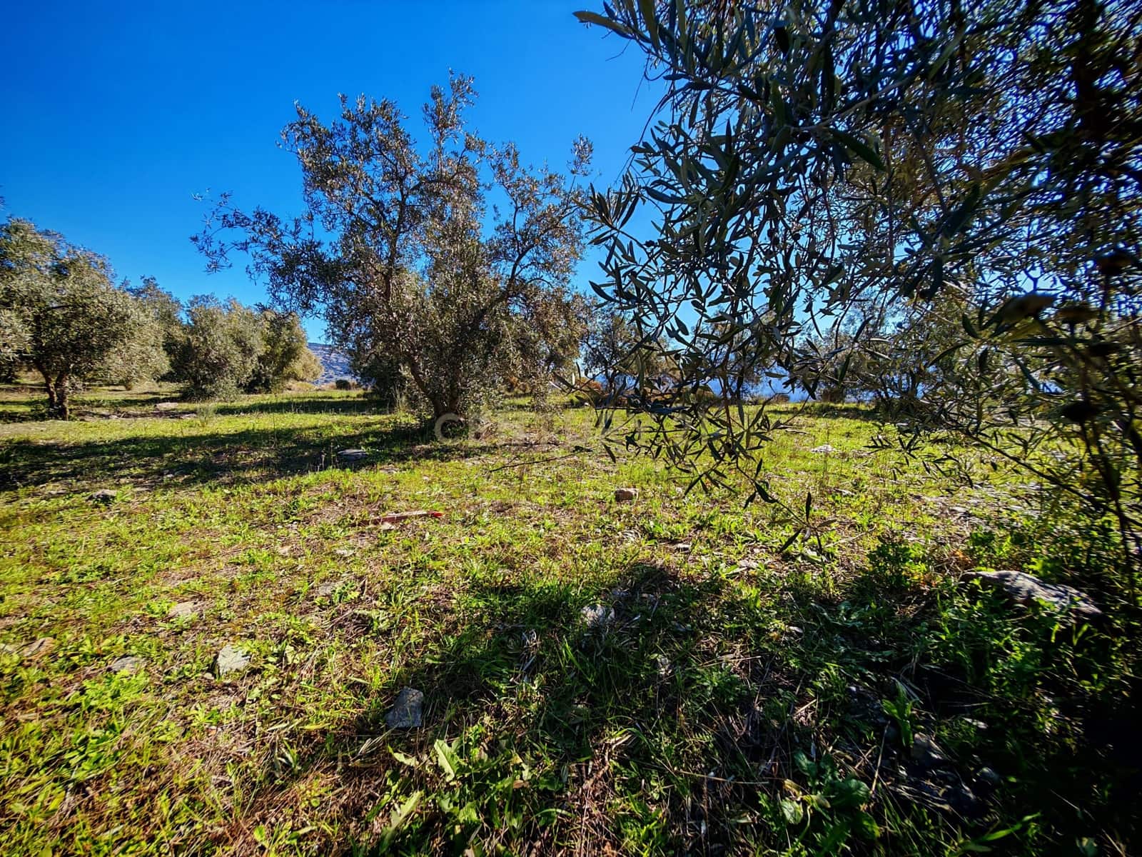 Maalaistalo myytävänä paikassa Nevada - 450 000 € (Ref: 9653318)