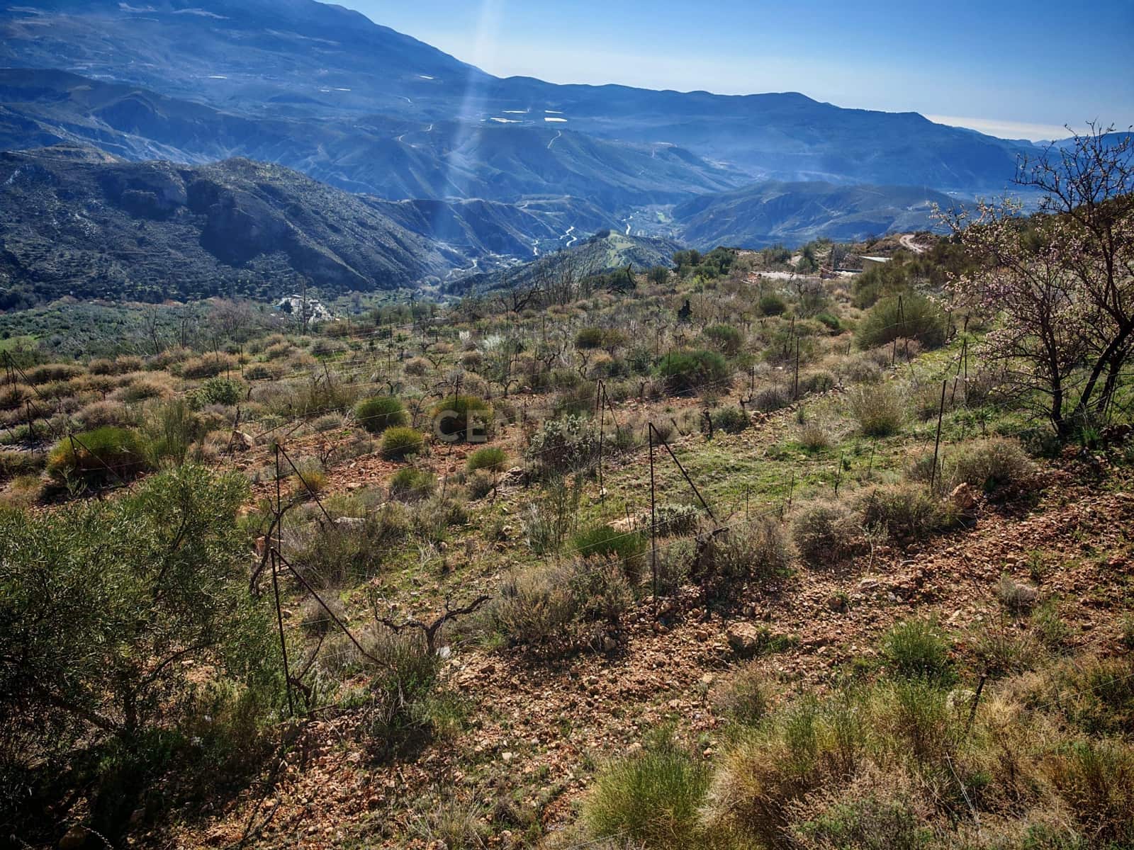 Maalaistalo myytävänä paikassa Nevada - 450 000 € (Ref: 9653318)