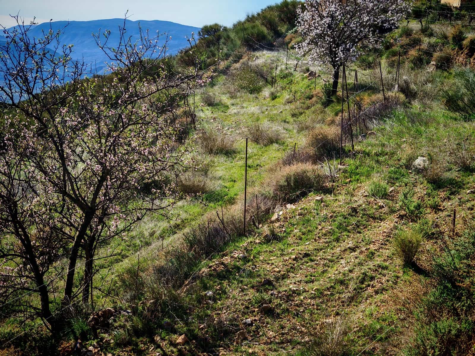 Maalaistalo myytävänä paikassa Nevada - 450 000 € (Ref: 9653318)