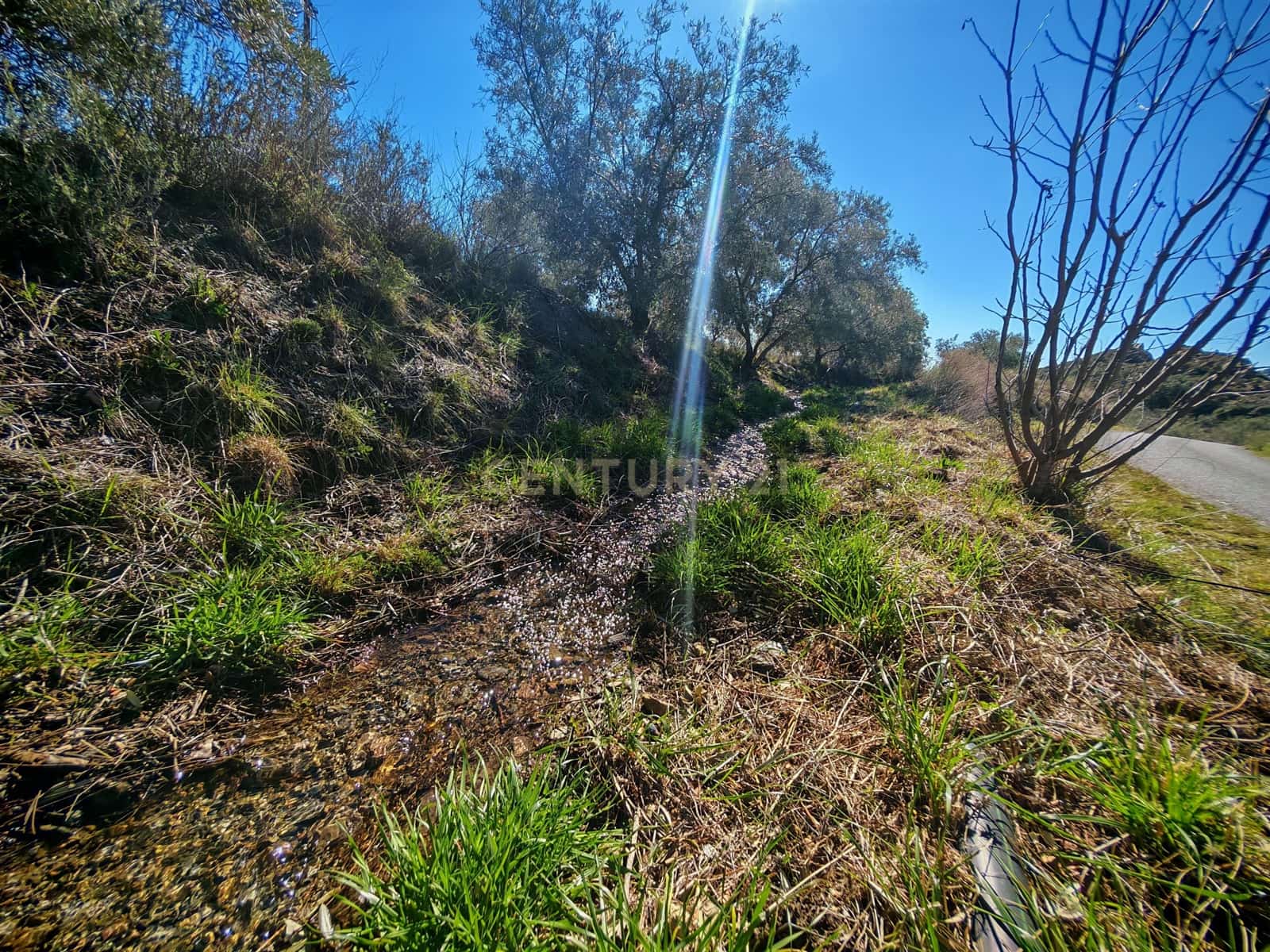 Maalaistalo myytävänä paikassa Nevada - 450 000 € (Ref: 9653318)