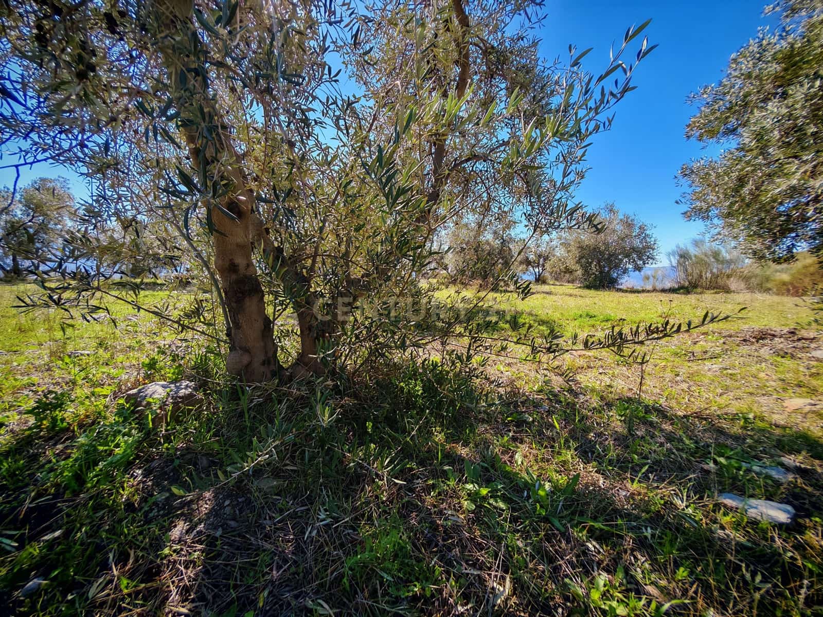 Maalaistalo myytävänä paikassa Nevada - 450 000 € (Ref: 9653318)