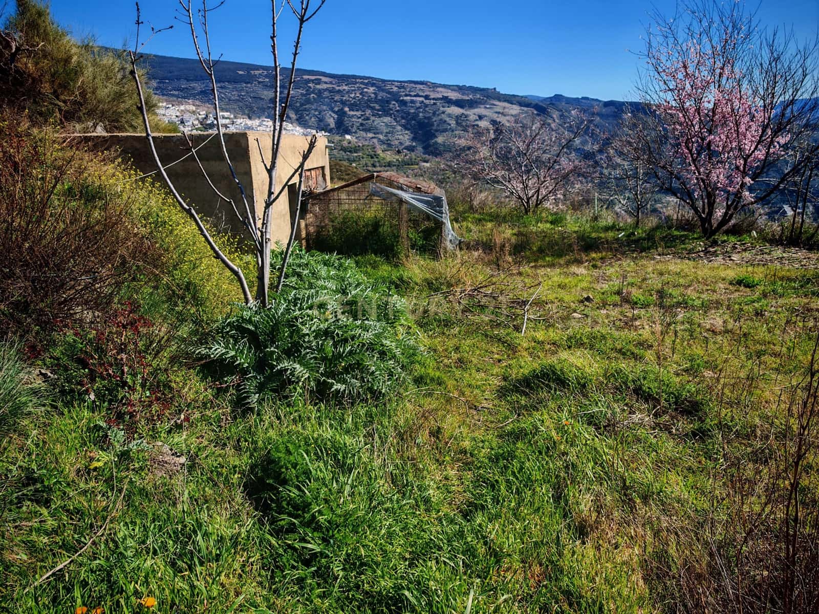 Maalaistalo myytävänä paikassa Nevada - 450 000 € (Ref: 9653318)