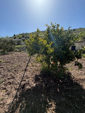 Mark till salu i Vélez de Benaudalla - 32 500 € (Ref: 9678192)