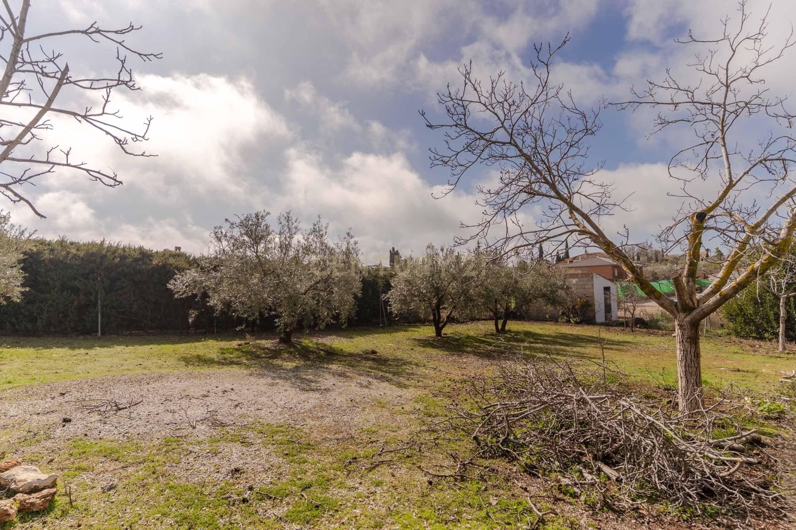 2 chambre Finca/Maison de Campagne à vendre à Moraleda de Zafayona - 210 000 € (Ref: 9687530)