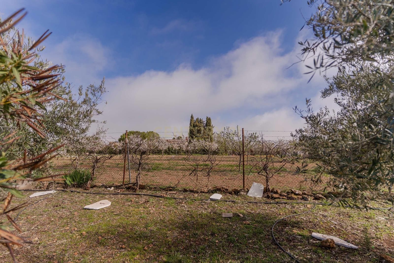 2 chambre Finca/Maison de Campagne à vendre à Moraleda de Zafayona - 210 000 € (Ref: 9687530)