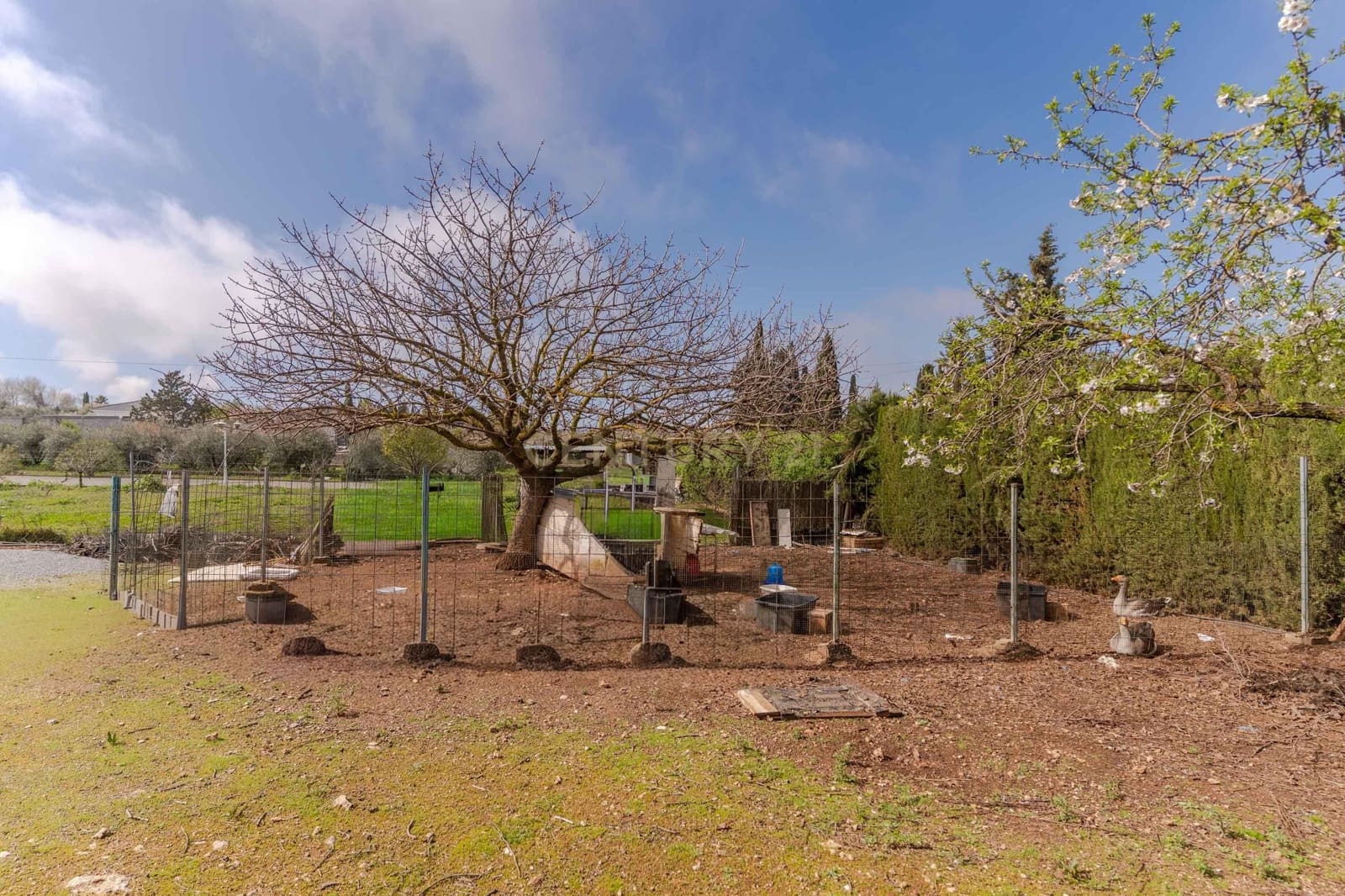 2 chambre Finca/Maison de Campagne à vendre à Moraleda de Zafayona - 210 000 € (Ref: 9687530)