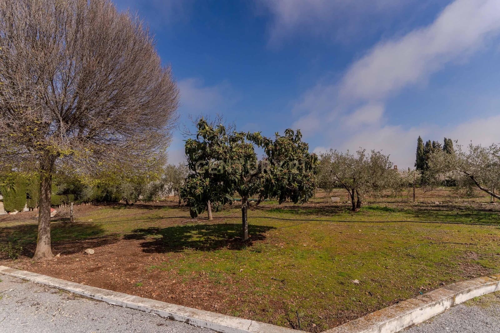 2 chambre Finca/Maison de Campagne à vendre à Moraleda de Zafayona - 210 000 € (Ref: 9687530)