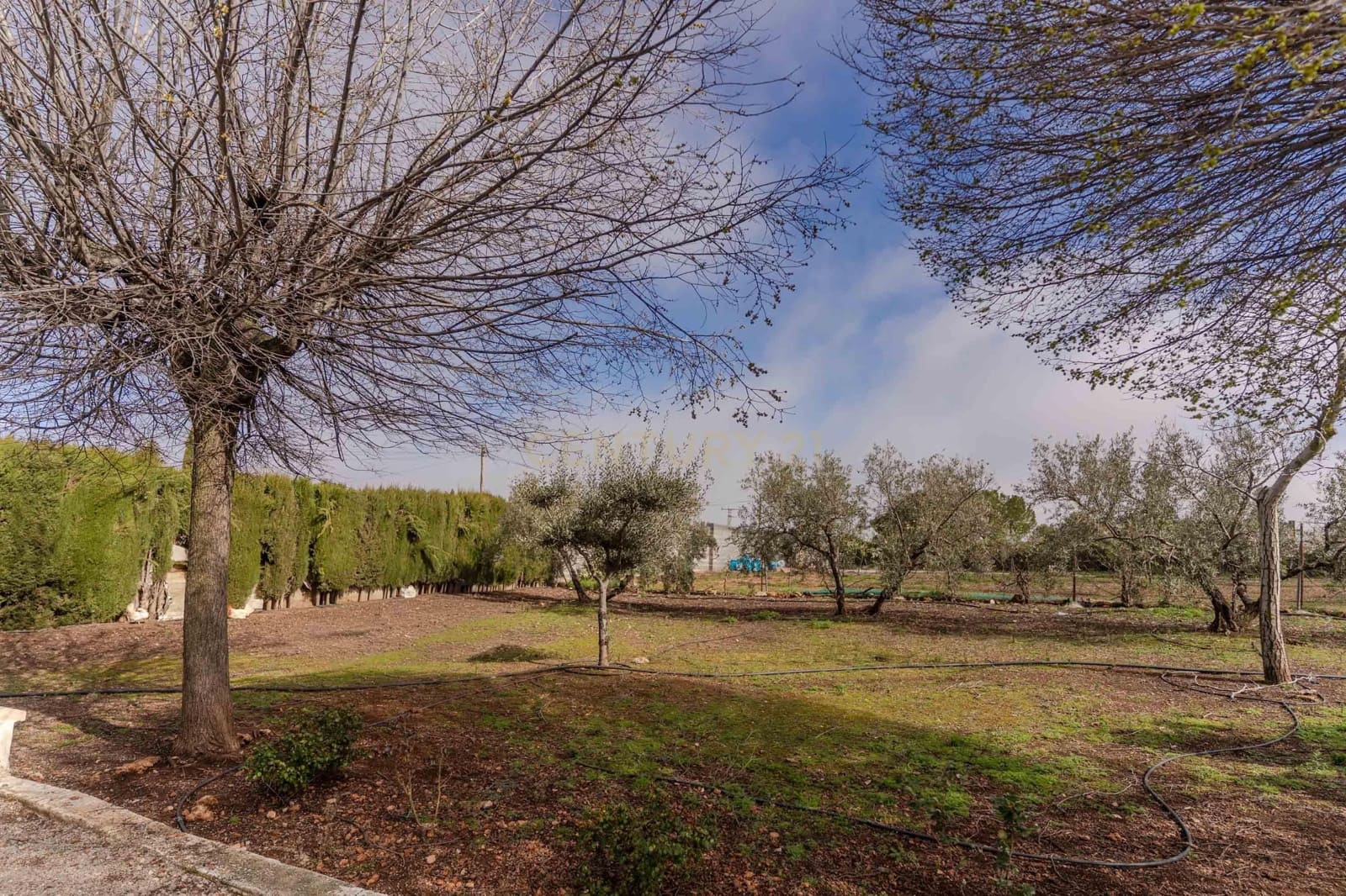 2 chambre Finca/Maison de Campagne à vendre à Moraleda de Zafayona - 210 000 € (Ref: 9687530)