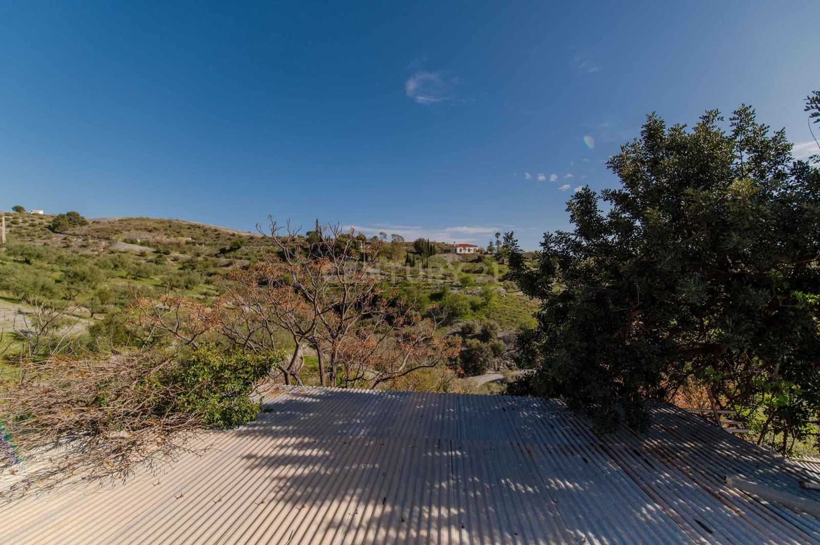 4 Zimmer Finca/Landgut zu verkaufen in Velez de Benaudalla - 190.000 € (Ref: 9697845)