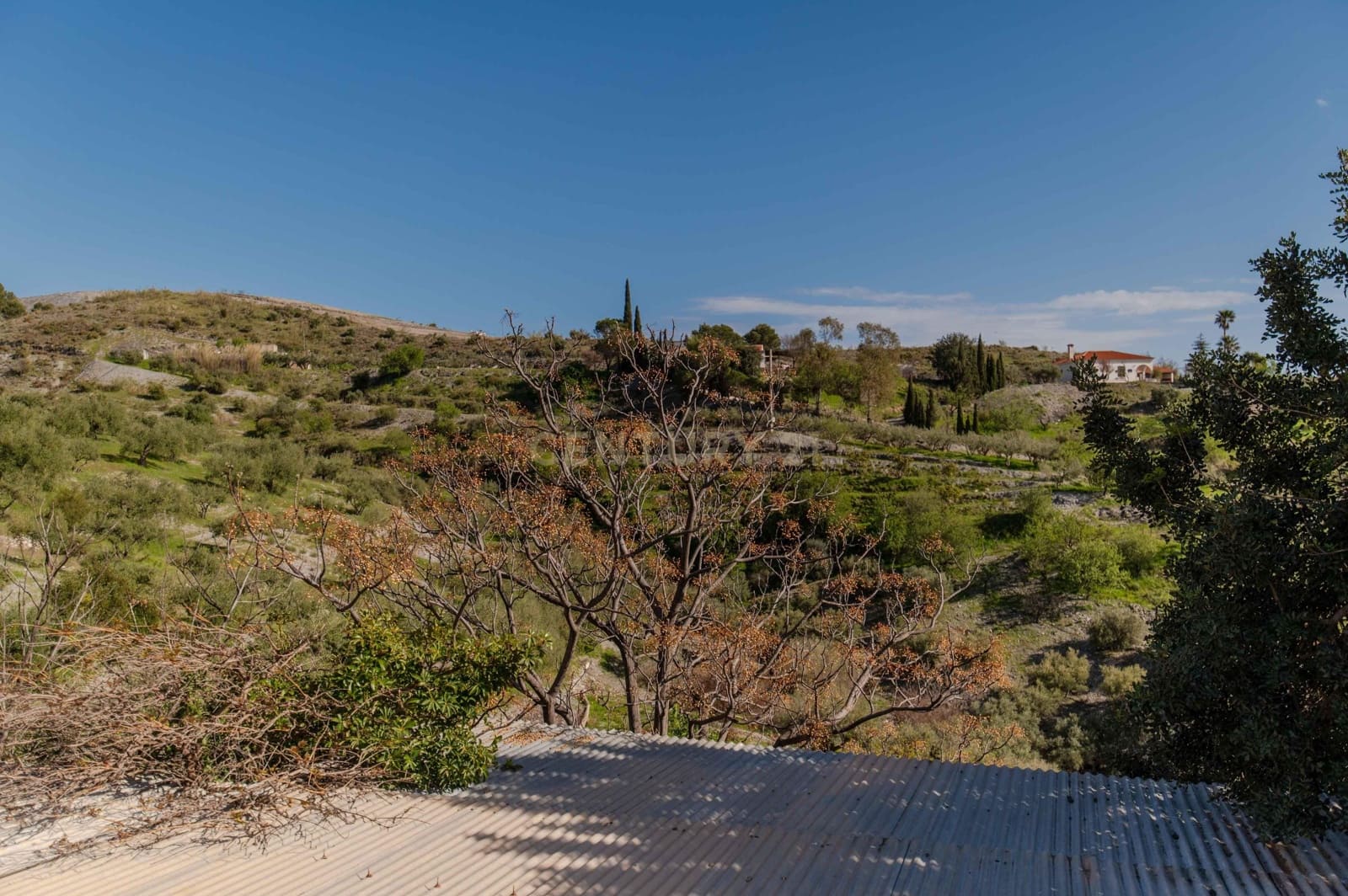 4 Zimmer Finca/Landgut zu verkaufen in Velez de Benaudalla - 190.000 € (Ref: 9697845)