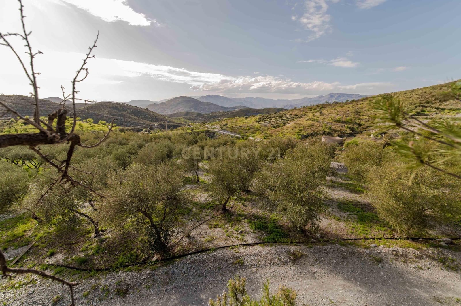 4 Zimmer Finca/Landgut zu verkaufen in Velez de Benaudalla - 190.000 € (Ref: 9697845)
