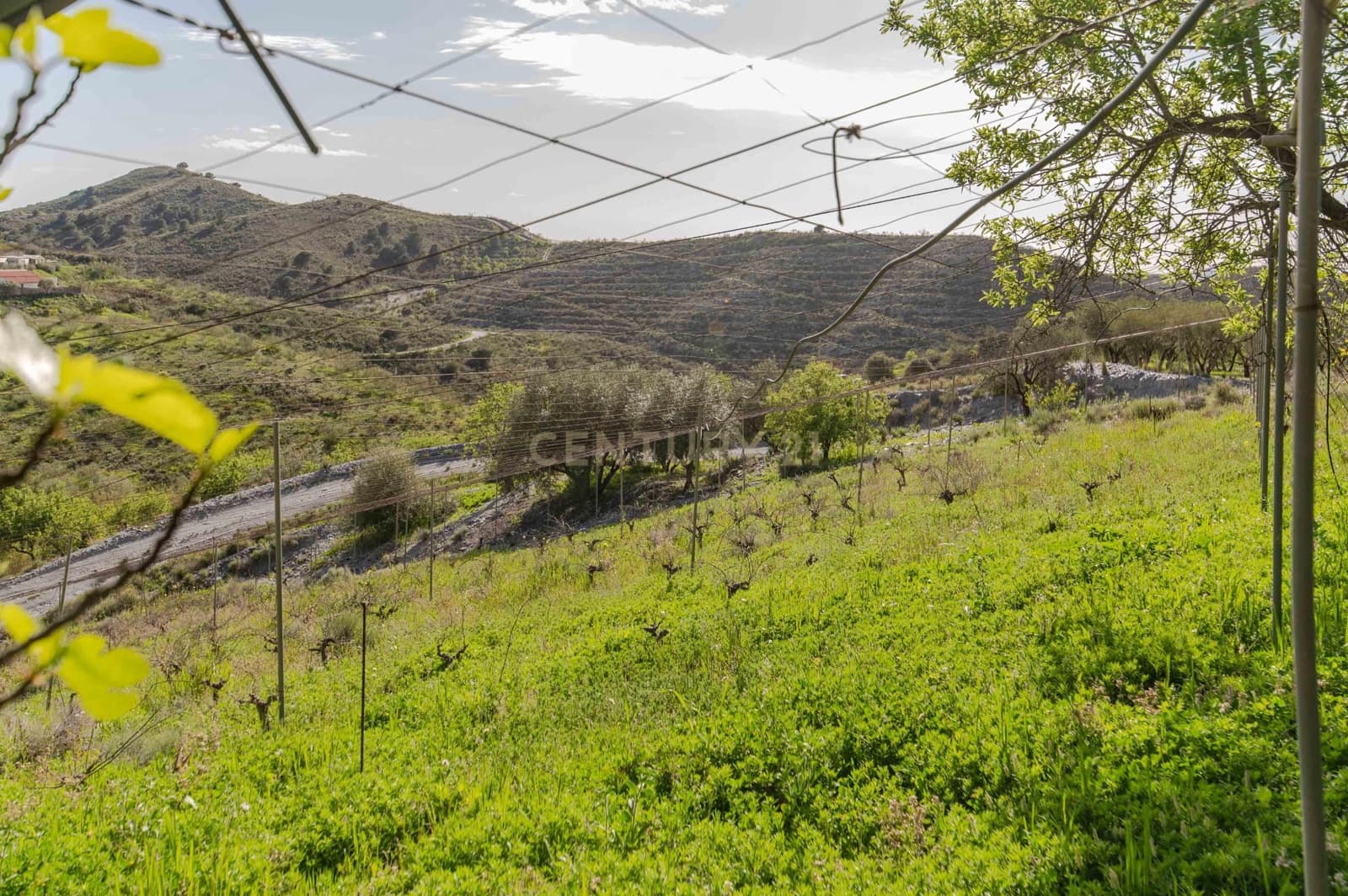 4 Zimmer Finca/Landgut zu verkaufen in Velez de Benaudalla - 190.000 € (Ref: 9697845)