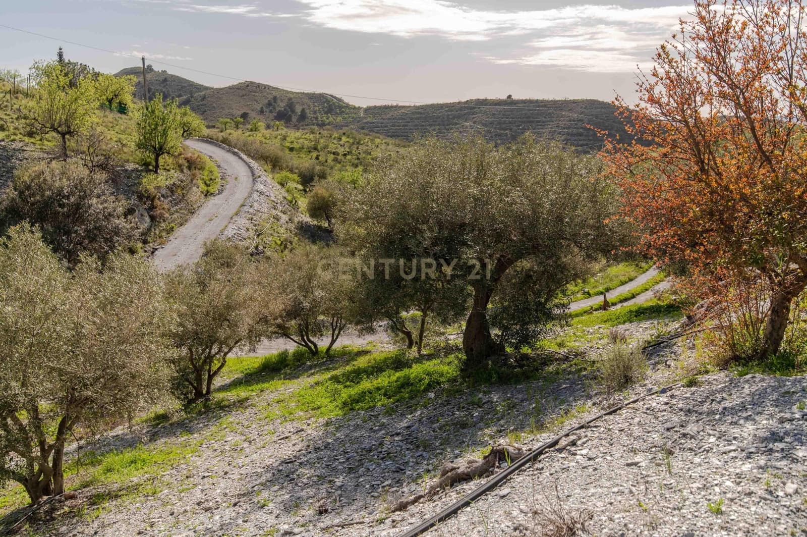 4 Zimmer Finca/Landgut zu verkaufen in Velez de Benaudalla - 190.000 € (Ref: 9697845)